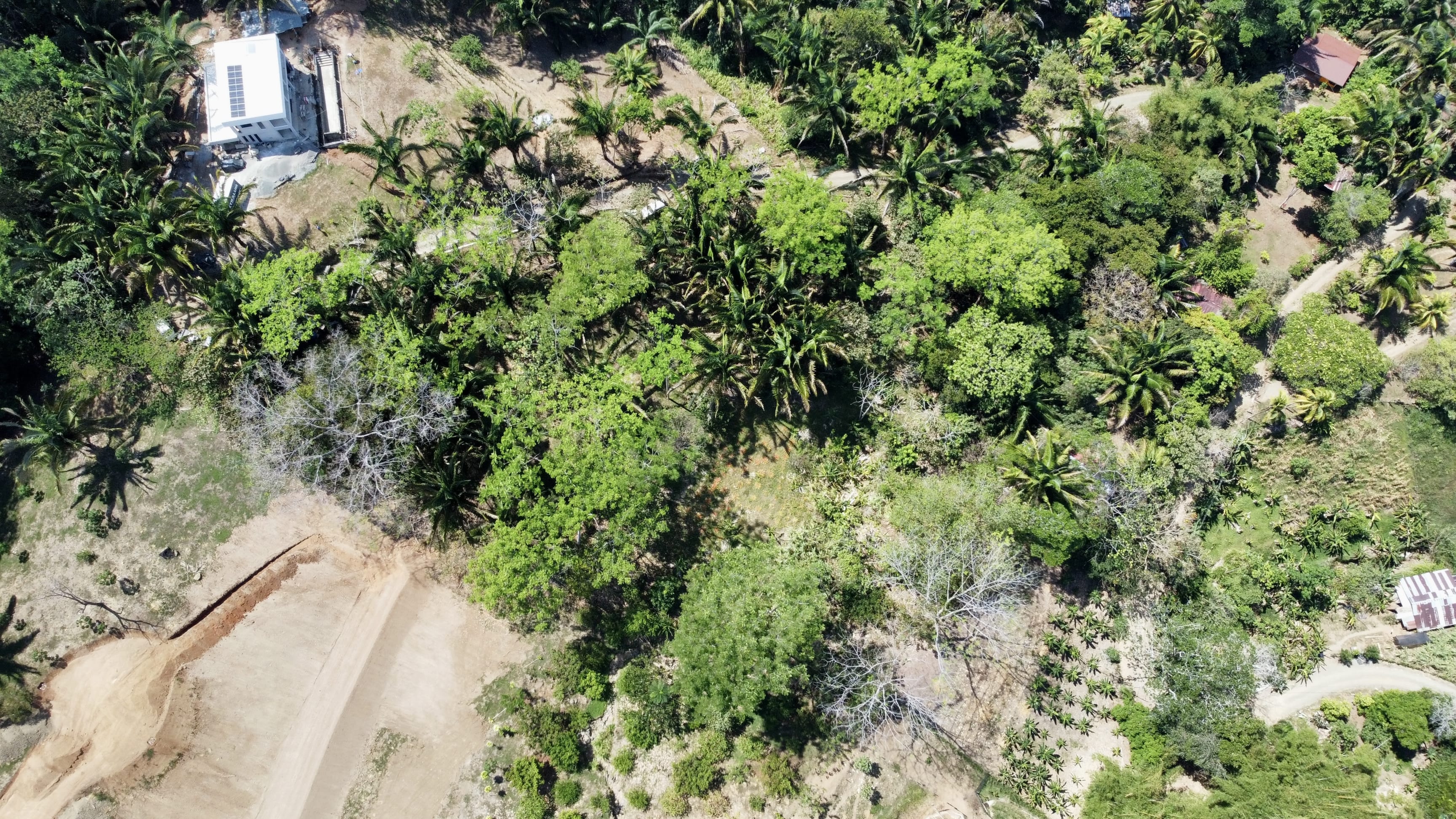 1.67-Acre Ocean View Land in Playa Hermosa, Uvita property photo 4