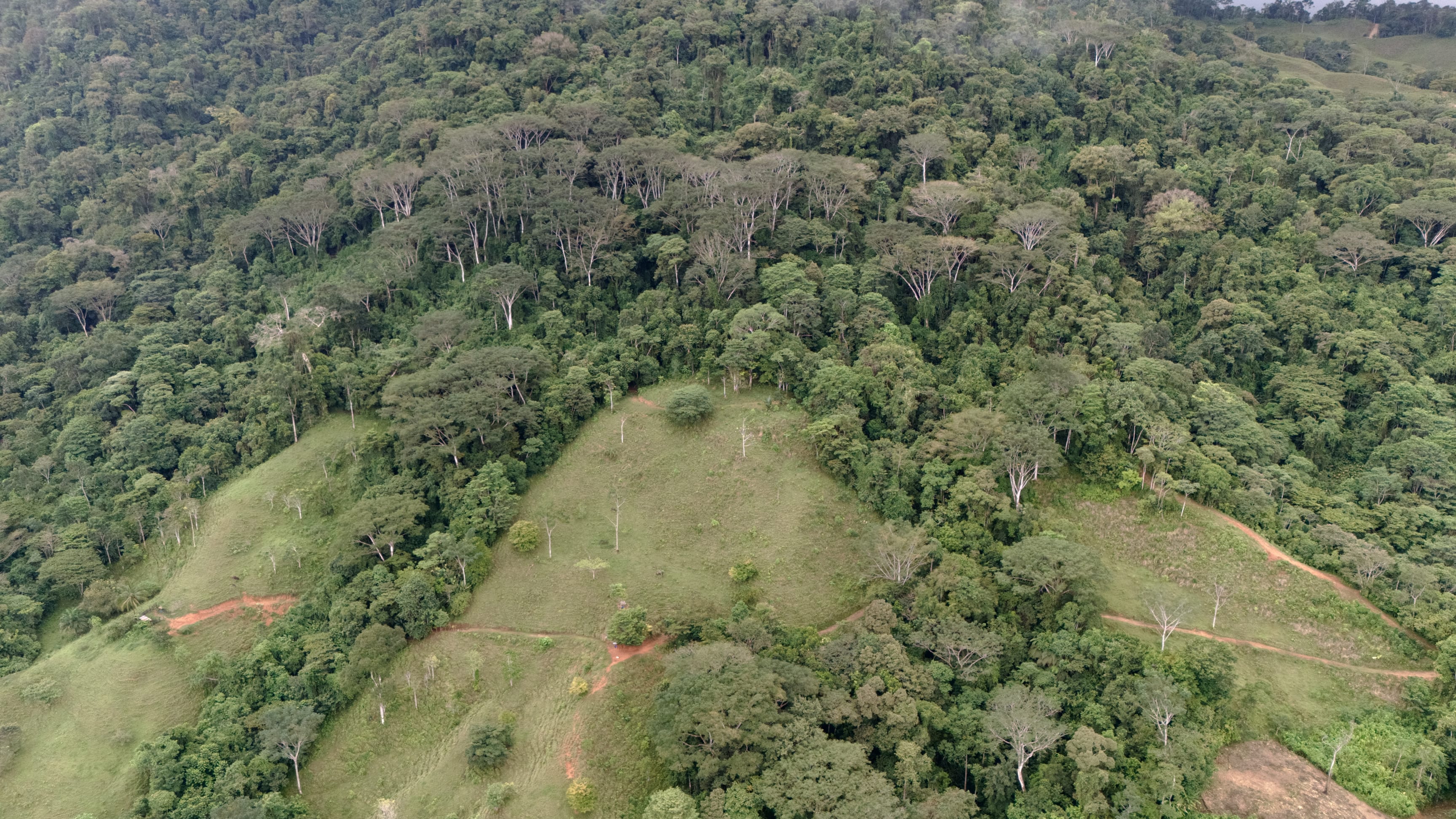 123-Acre Mountain Farm in San Josecito de Morete, Uvita property photo 4