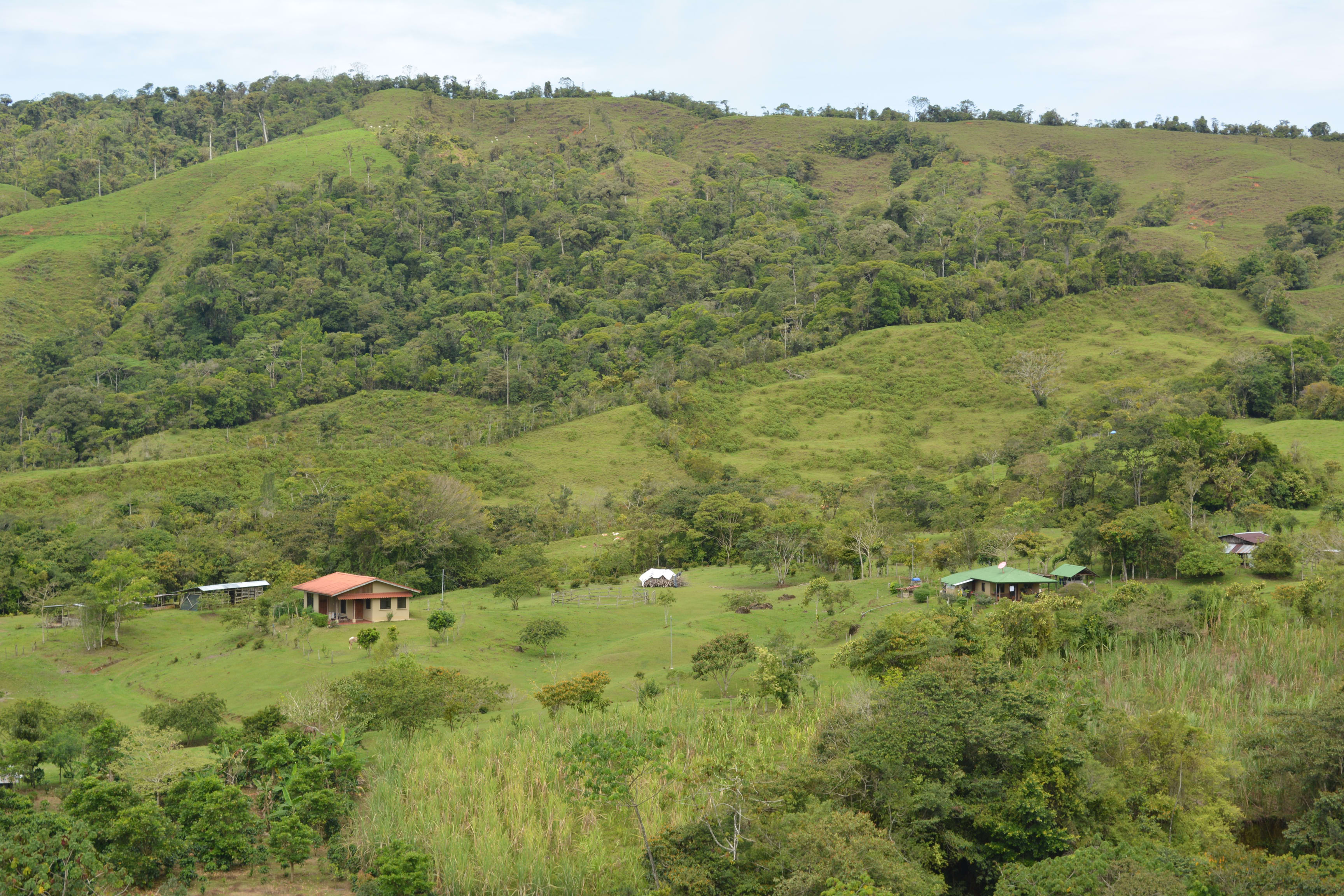 263-Acre Farm on the Rio San Antonio, San Isidro de El General in San Isidro, Costa Rica