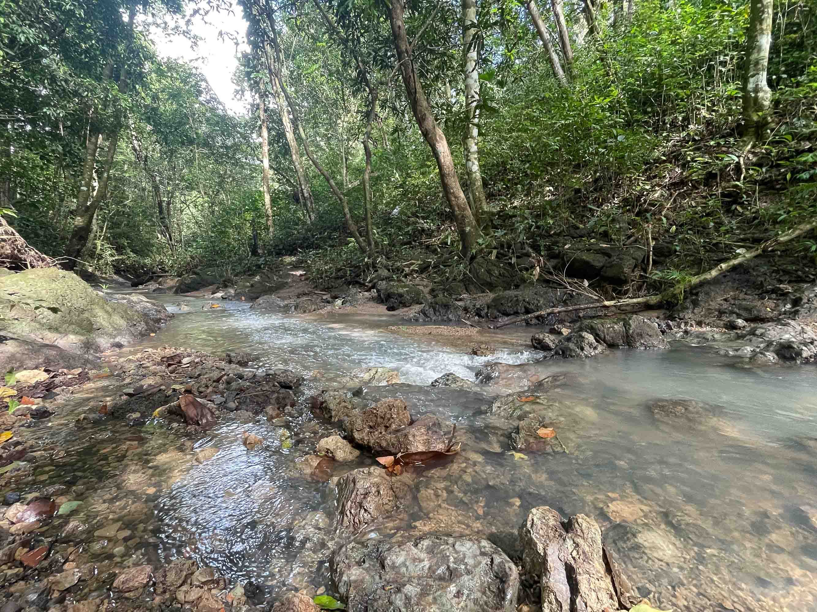 3-Acre Development Land with Stream Frontage, Manuel Antonio property photo 4
