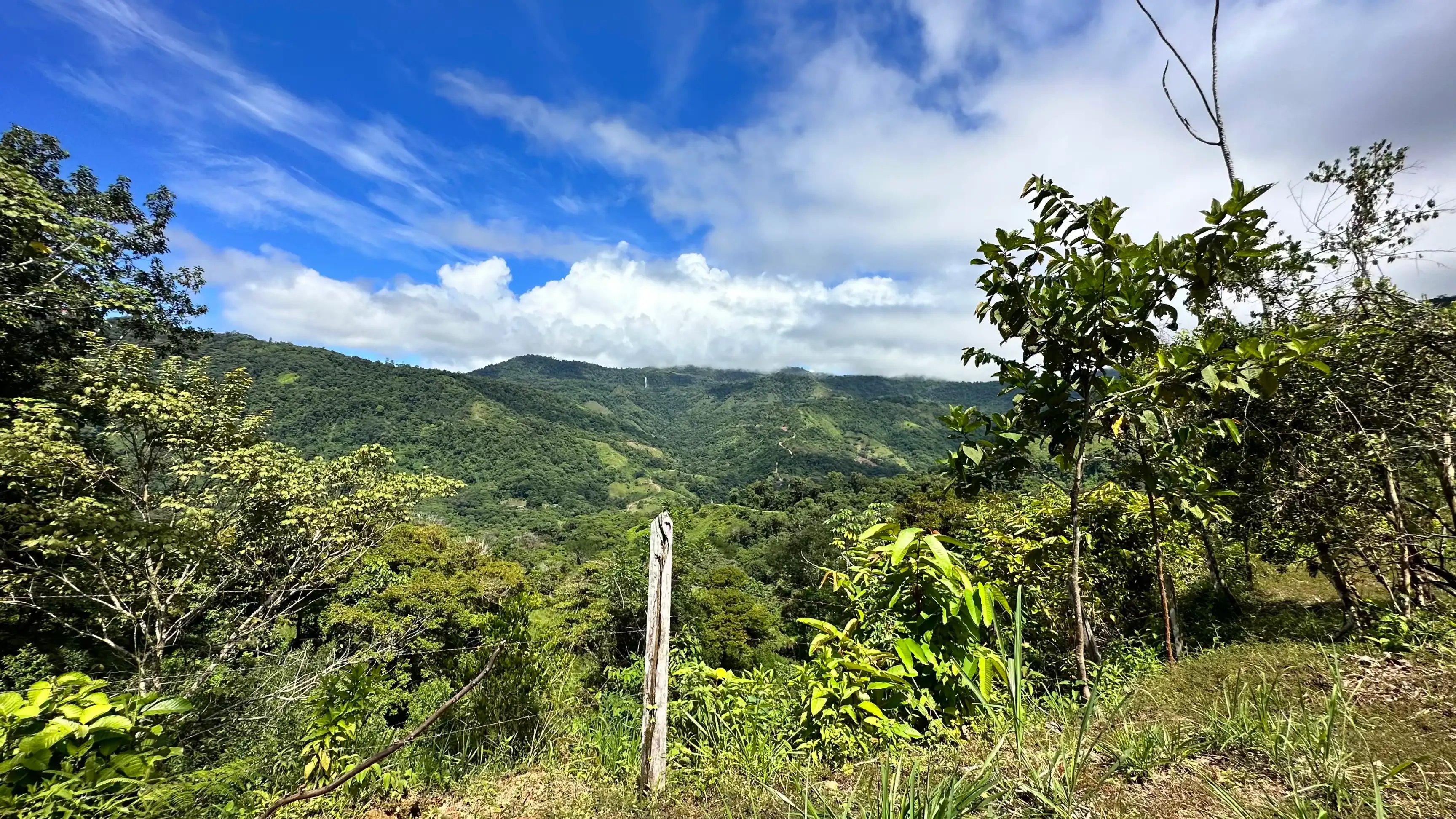 4-Acre Farm with Waterfall in San Josecito, Uvita property photo 2