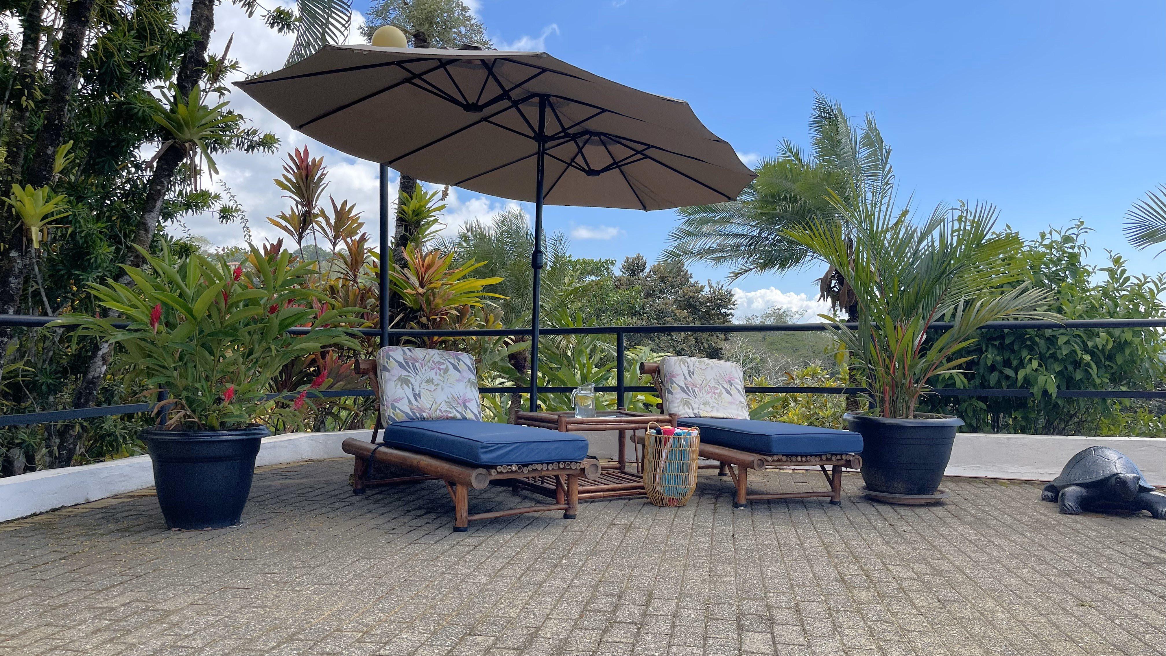 Bali-Inspired Ocean View Home in Ojochal property photo 4