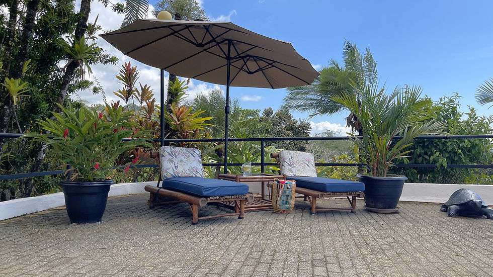 Thumbnail: Bali-Inspired Ocean View Home in Ojochal | 4 Bed