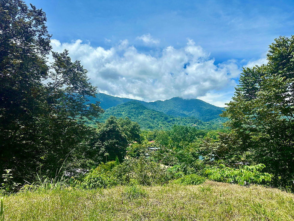 Thumbnail: Build-Ready 1.79 Acre Lot in Ojochal | Mountain Views & Utilities In Place