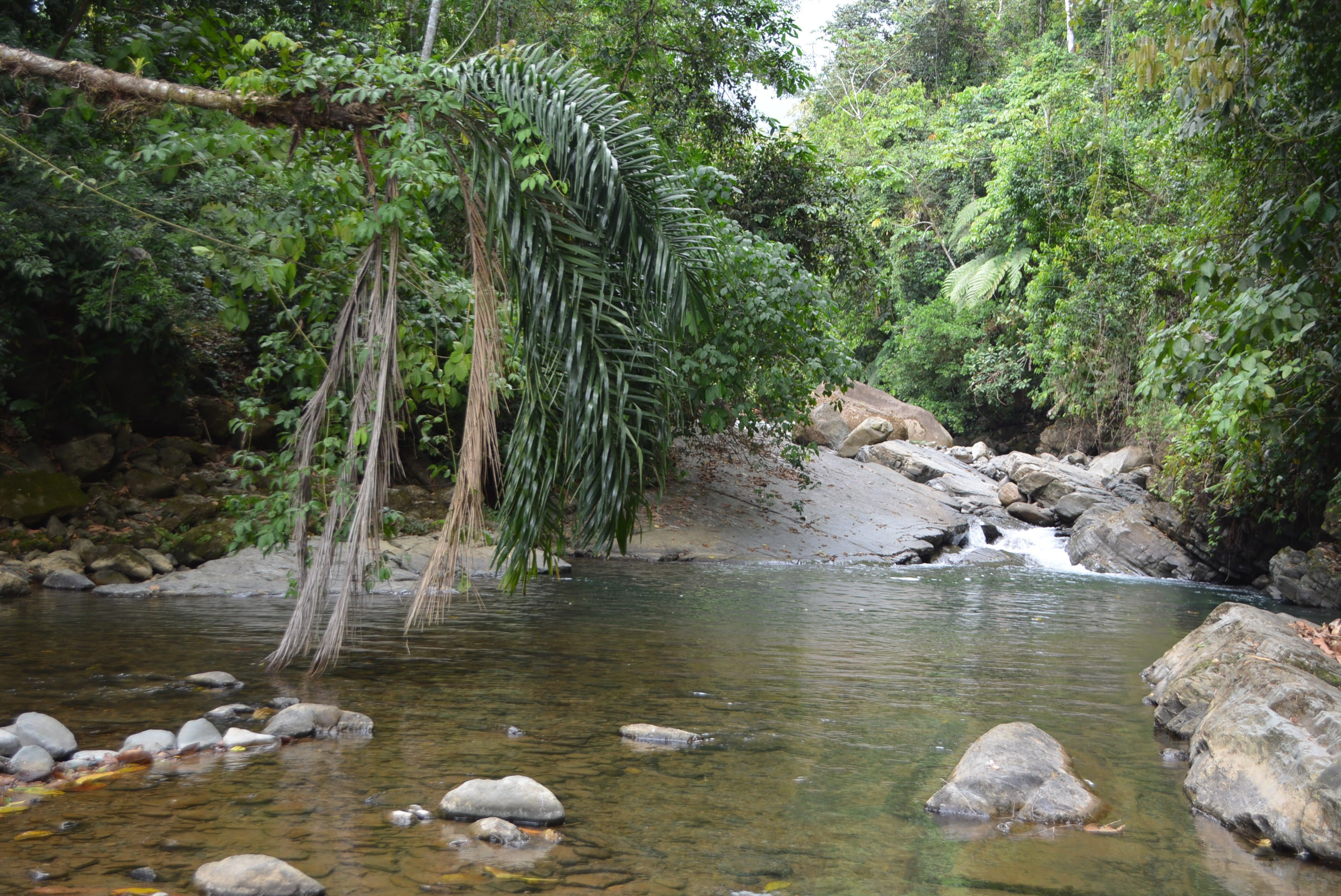 73-Acre River Front Farm Near Dominical property photo 4