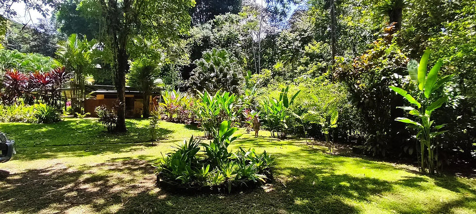 Thumbnail: Commercial Property in Ojochal | 1 Bed / 1 Bath