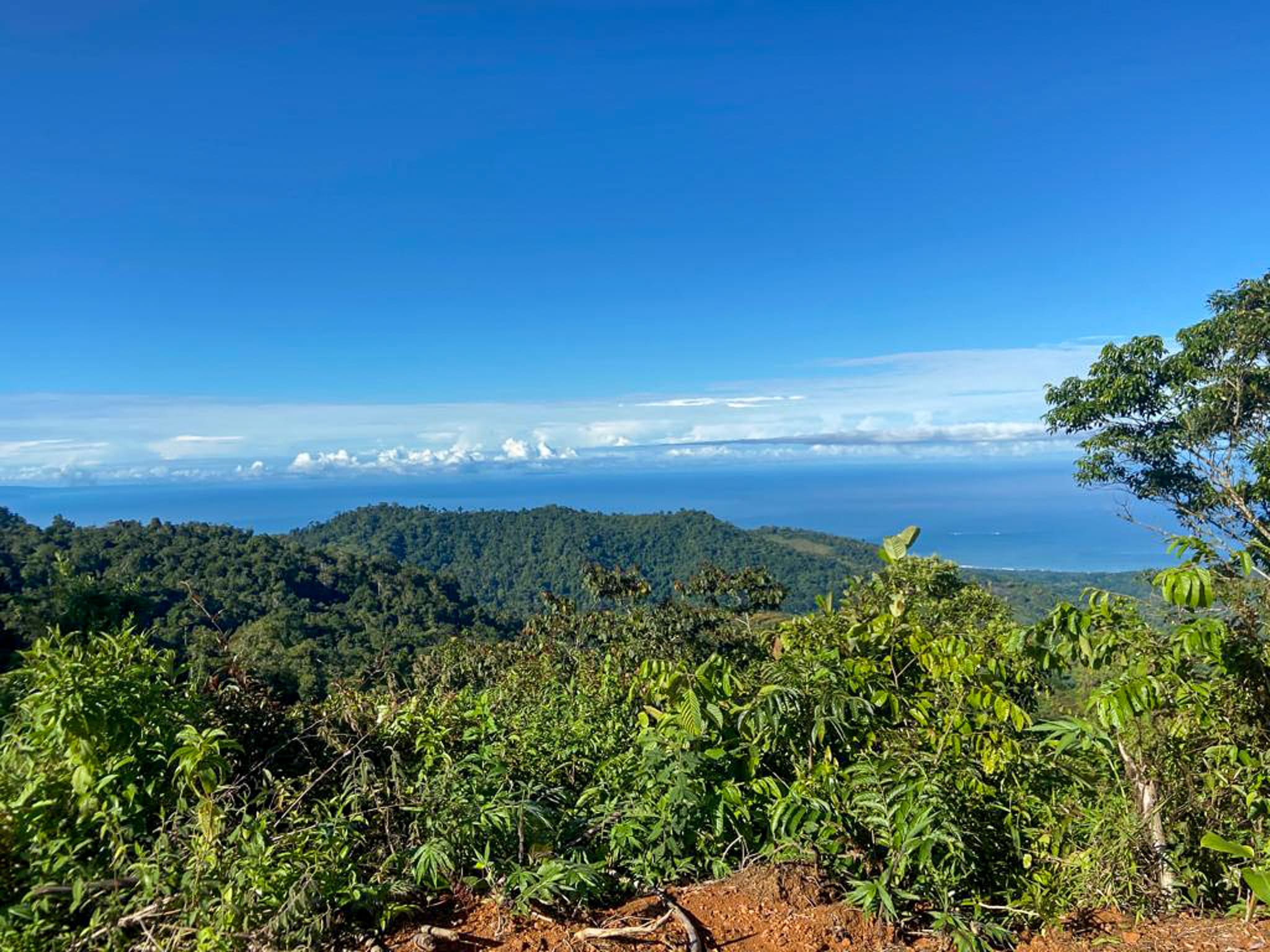 3.36-Acre Ocean View Lot in Aguas Buenas, Uvita property photo 2