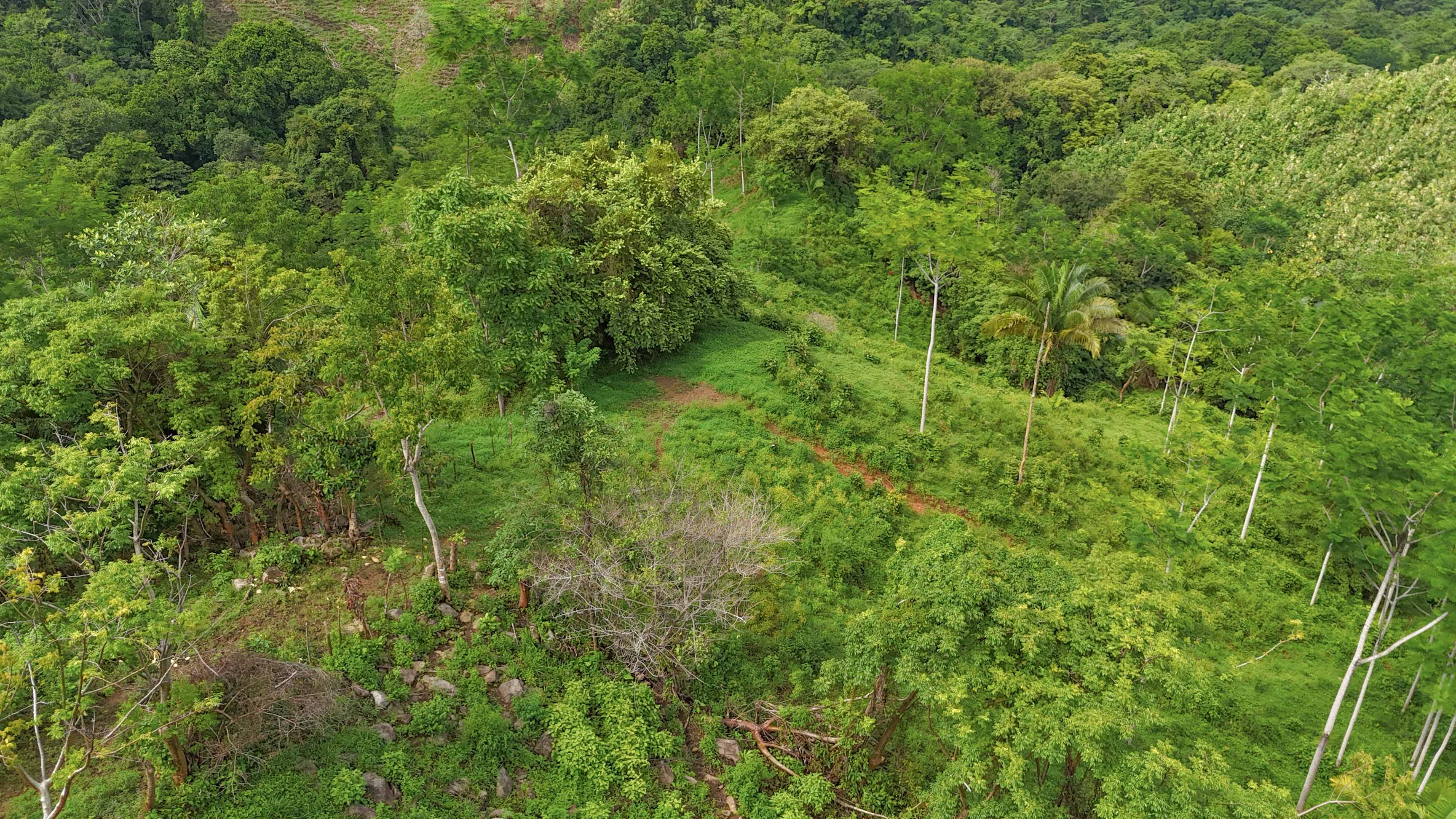 177-Acre Development Land Near Ojochal property photo 4