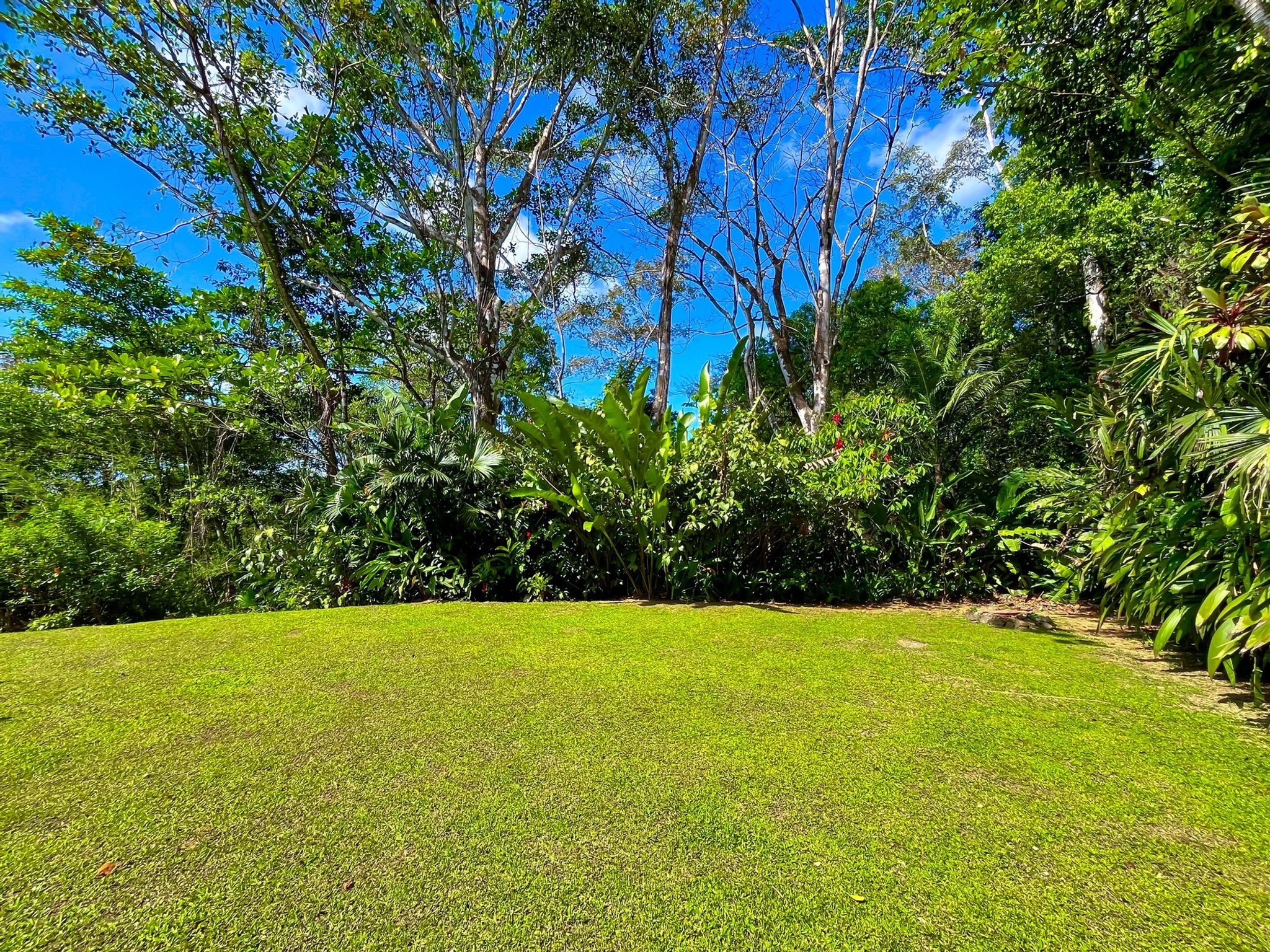 Jungle Home (The Funky Jungalow) in Lagunas de Baru property photo 3