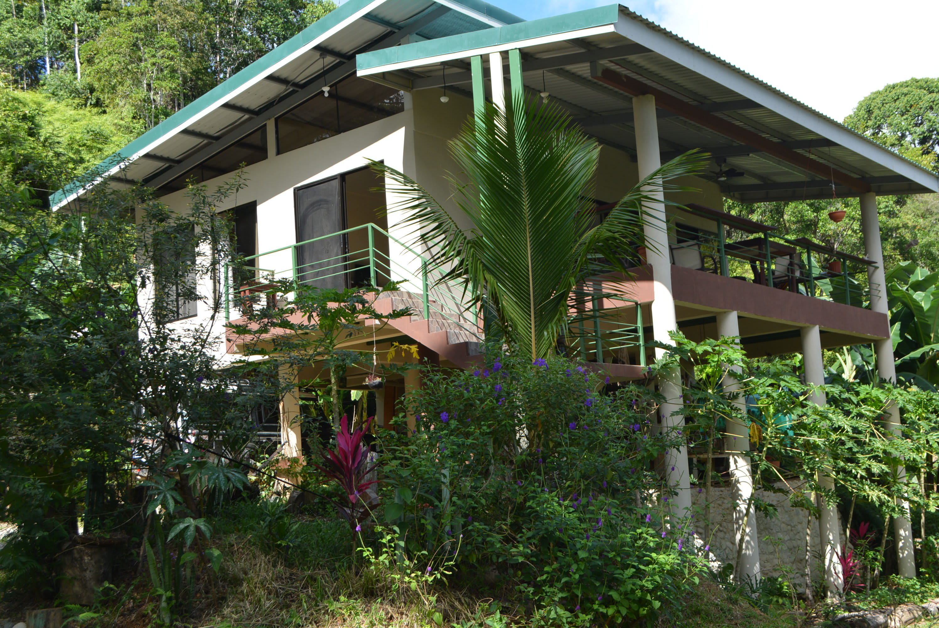 Mountain View Home in Punta Mira property photo 4