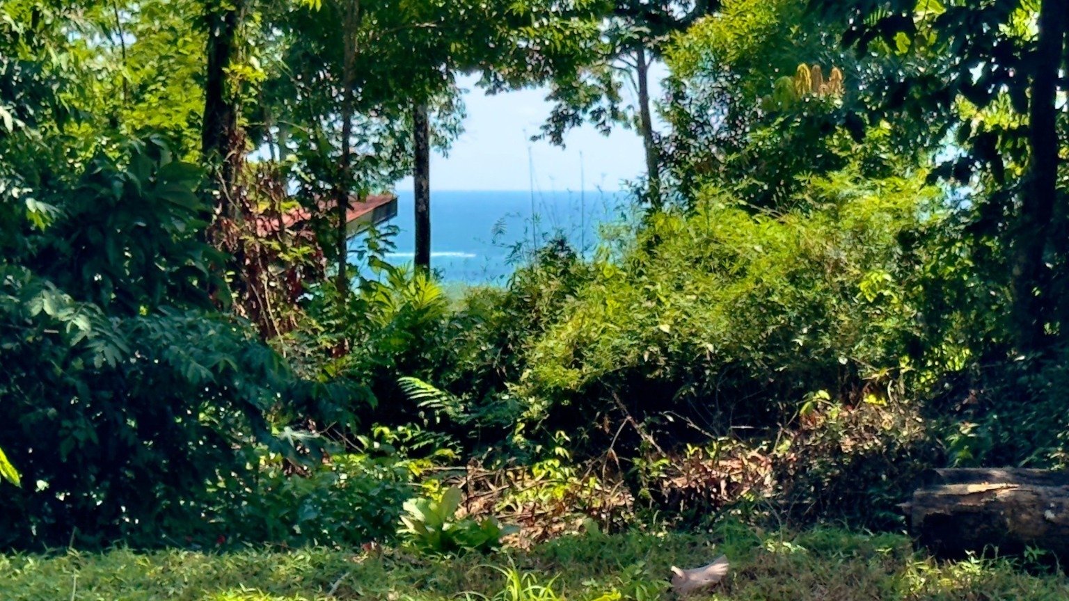5-Acre Jungle Lot in Las Brisas, Ballena property photo