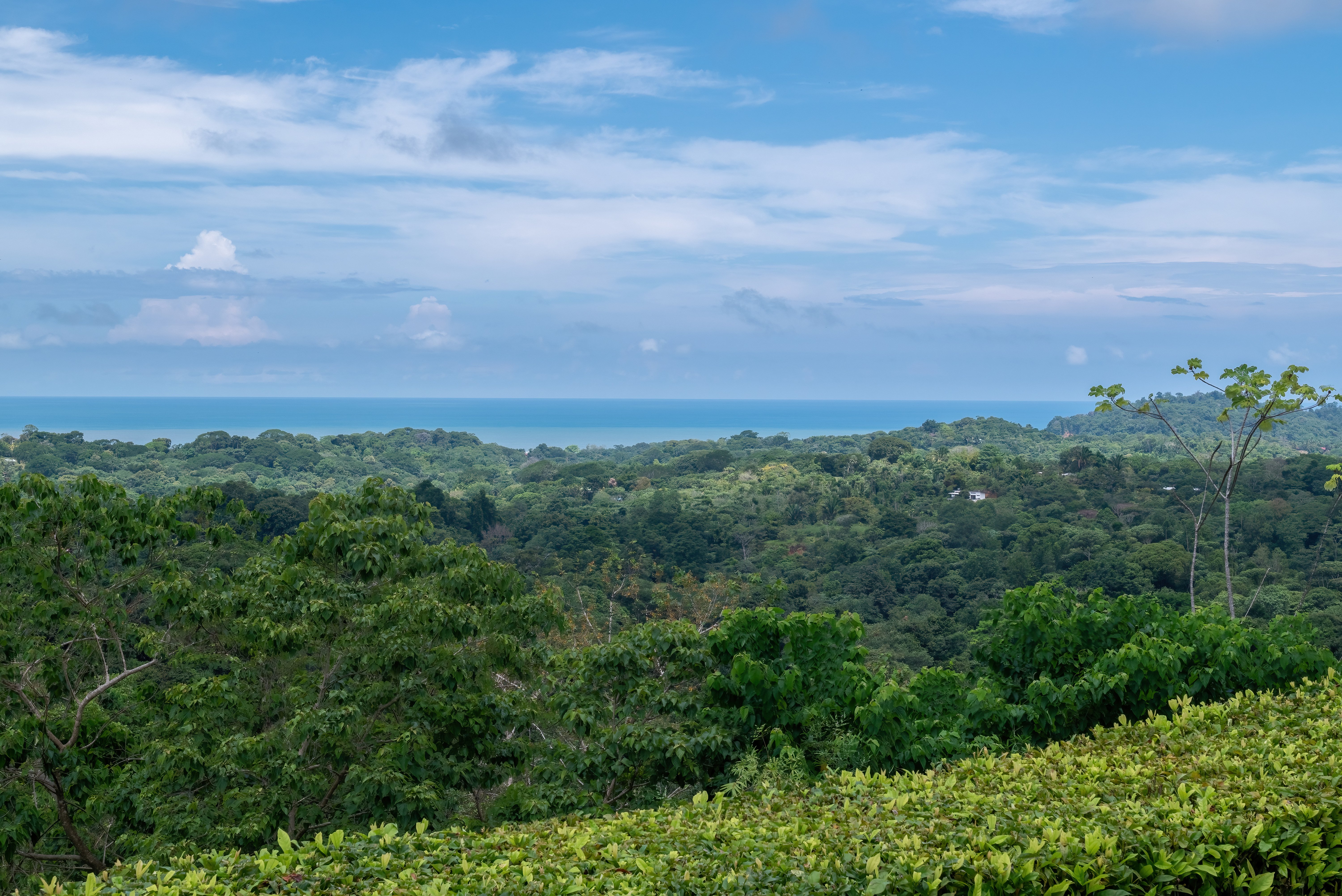 Ocean and Mountain View Lot in Ojochal Phase 11 property photo 2