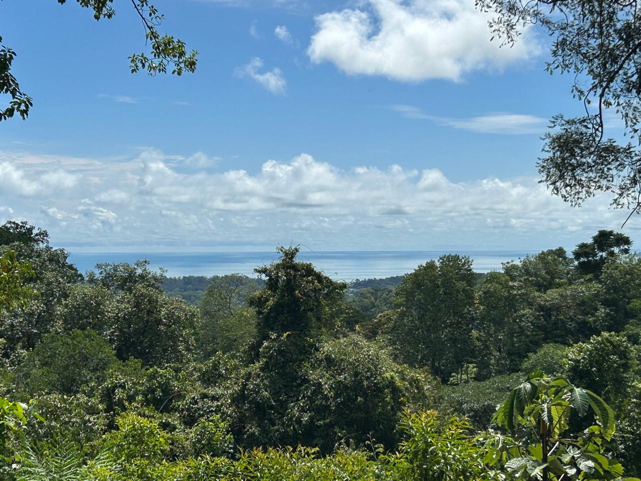 5-Acre Ocean View Land in Uvita in San Isidro, Costa Rica