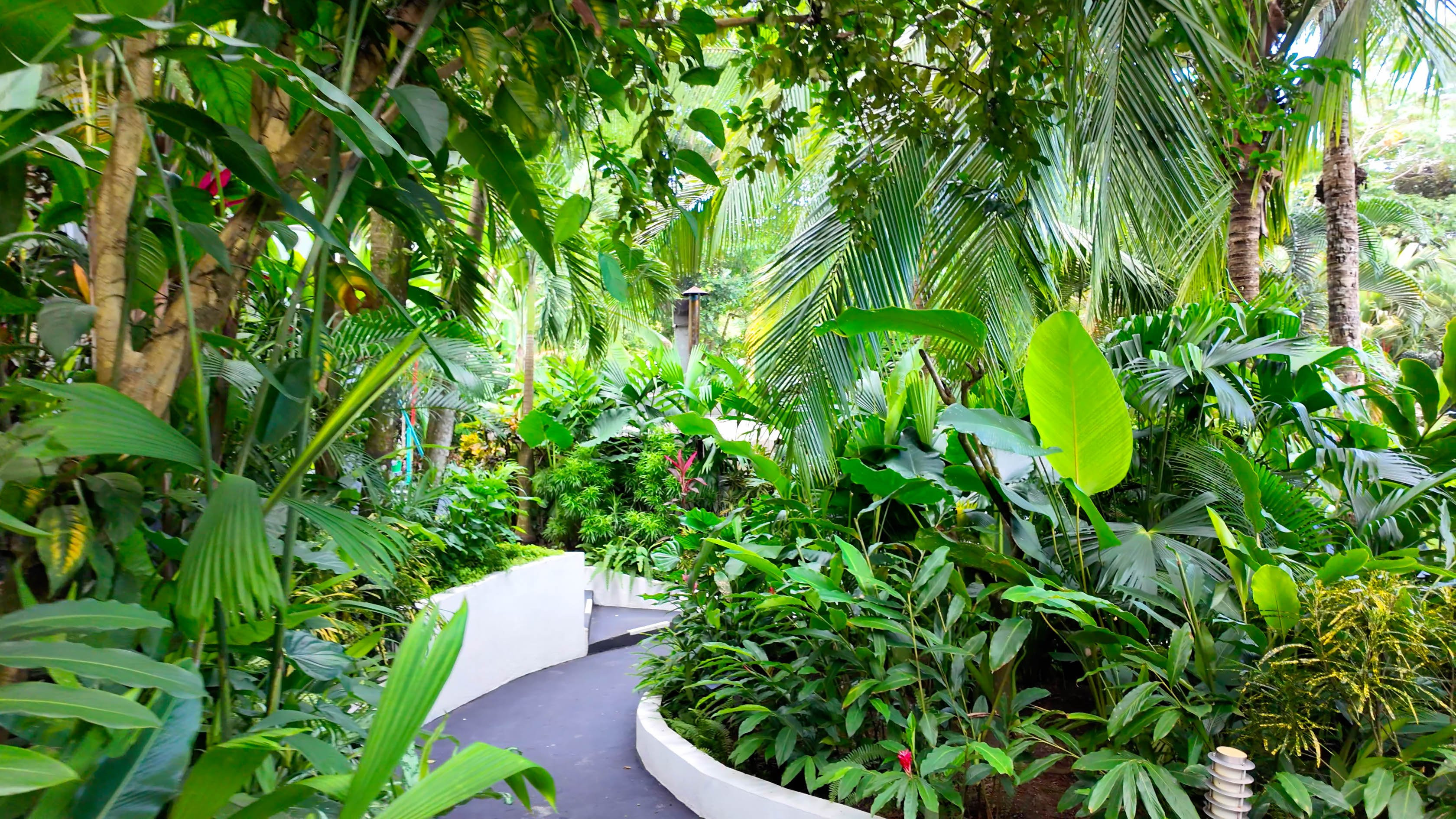 22-Room Boutique Hotel in Manuel Antonio property photo 4