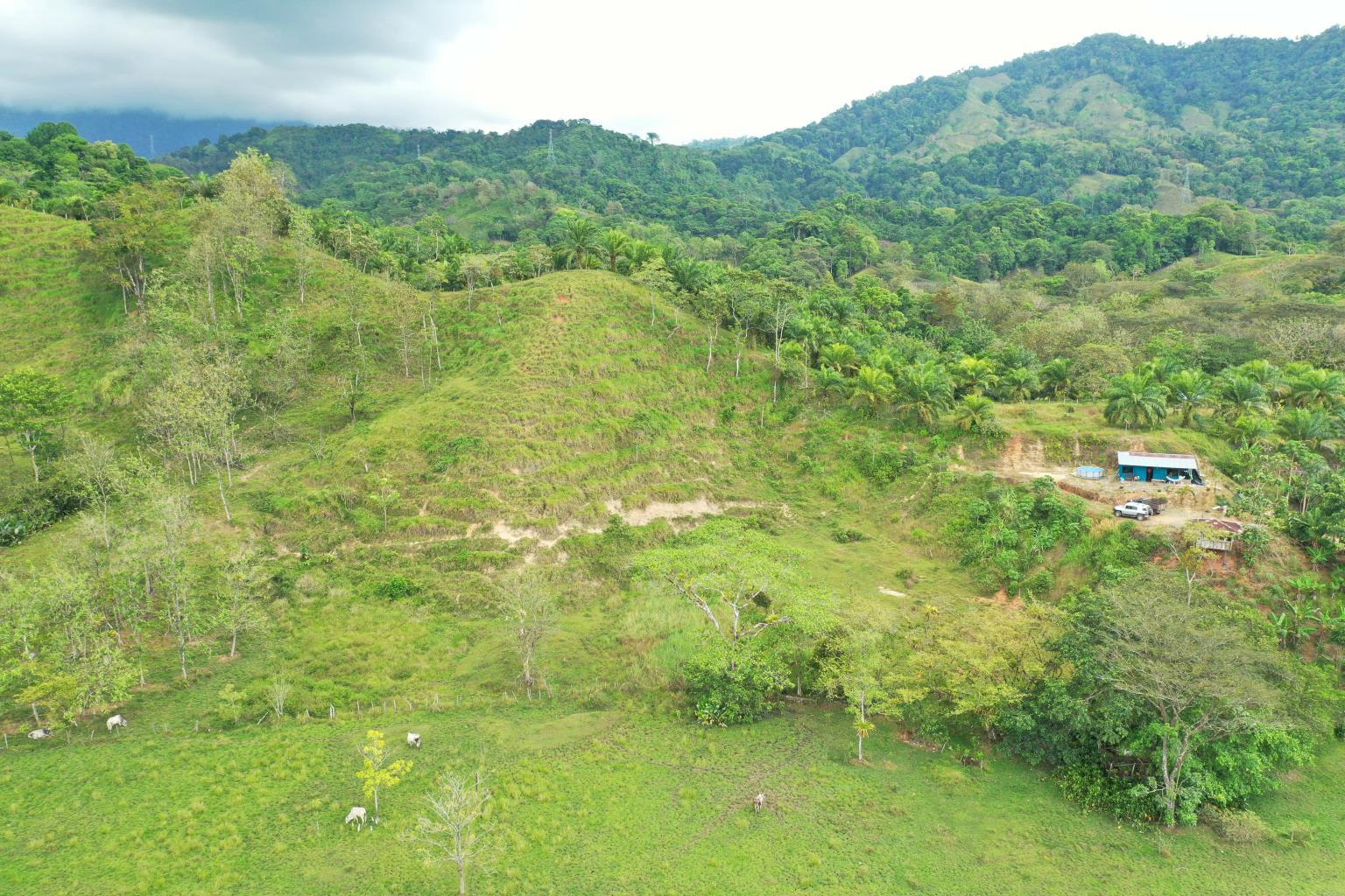 286-Acre Development Land Near Quepos property photo 3
