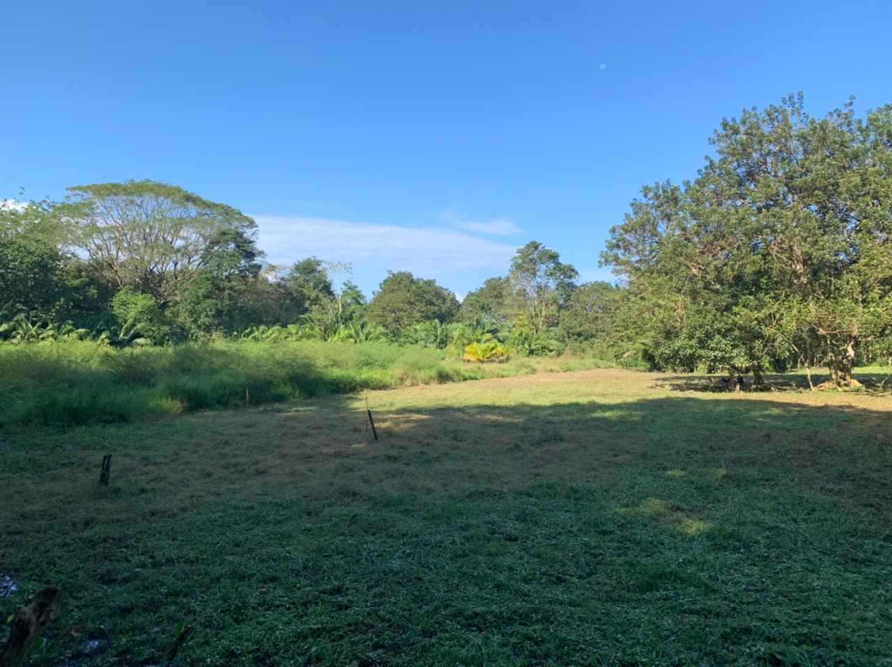 Titled Beachside Land in Uvita property photo 4