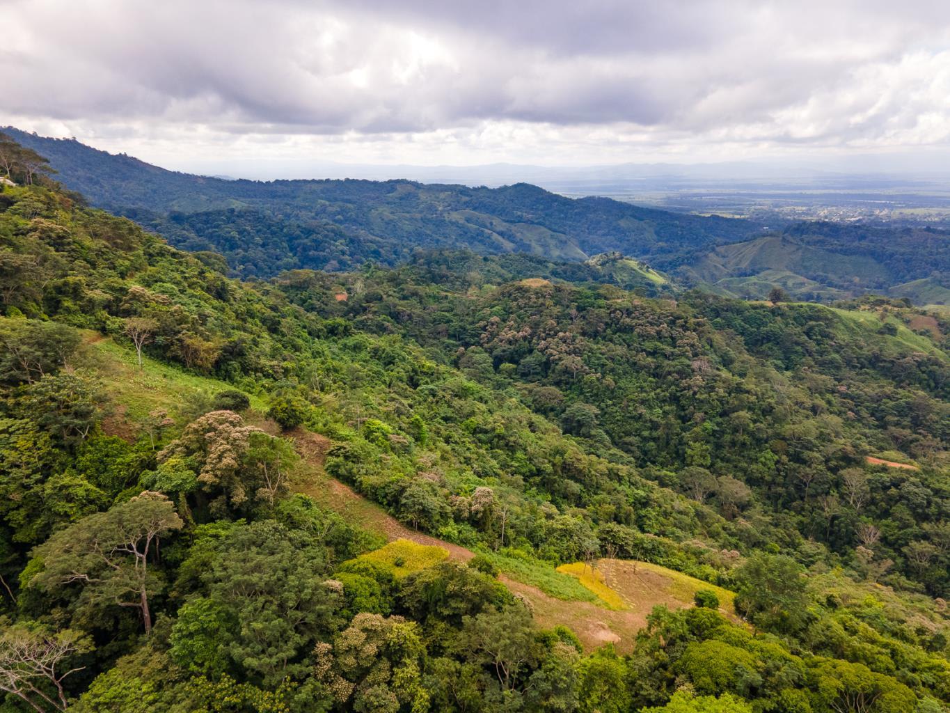 138-Acre Ocean View Land Near Cortez property photo 5