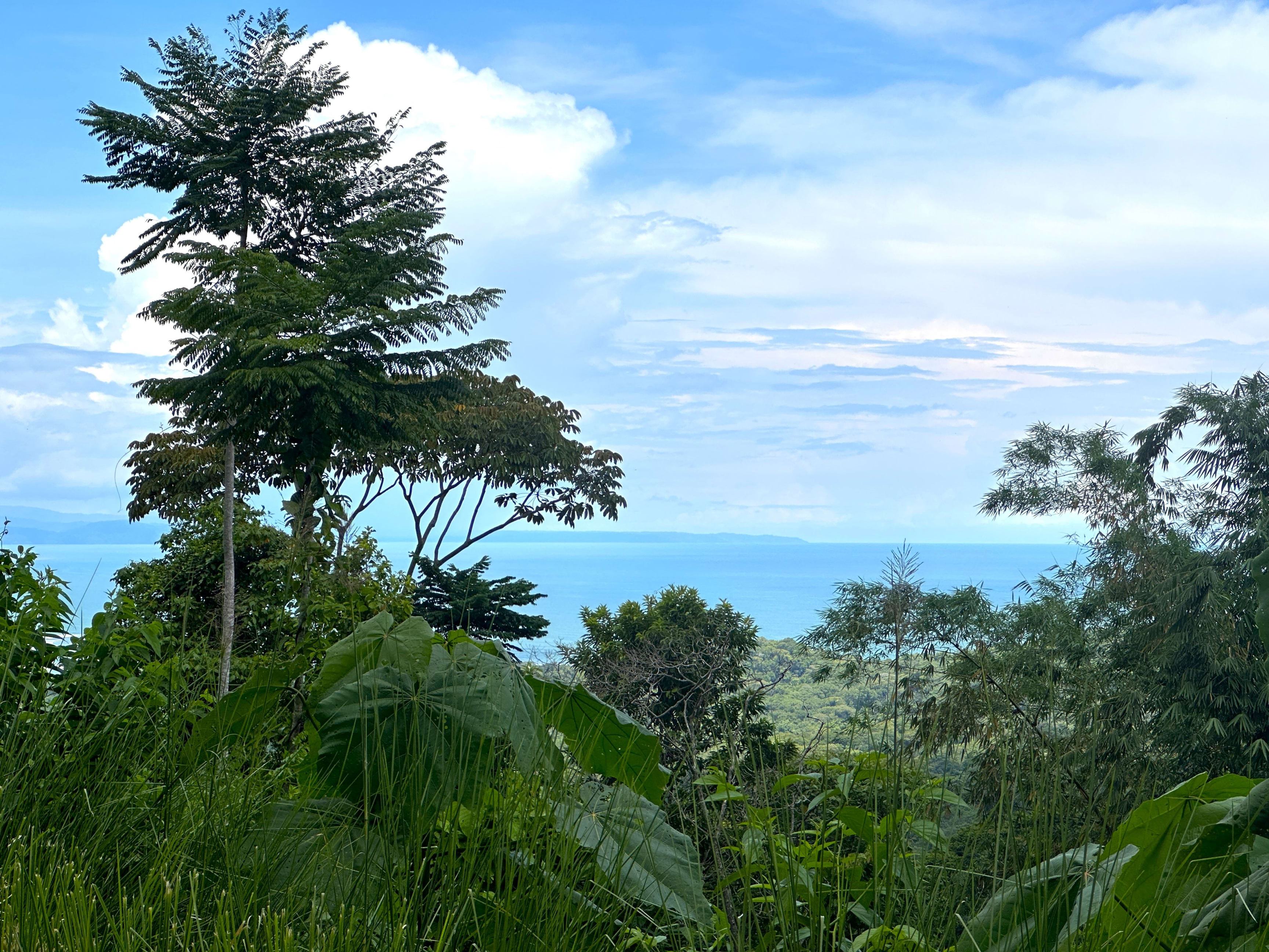 11.24-Acre Development Land in Cinco Ventanas, Ojochal property photo 3