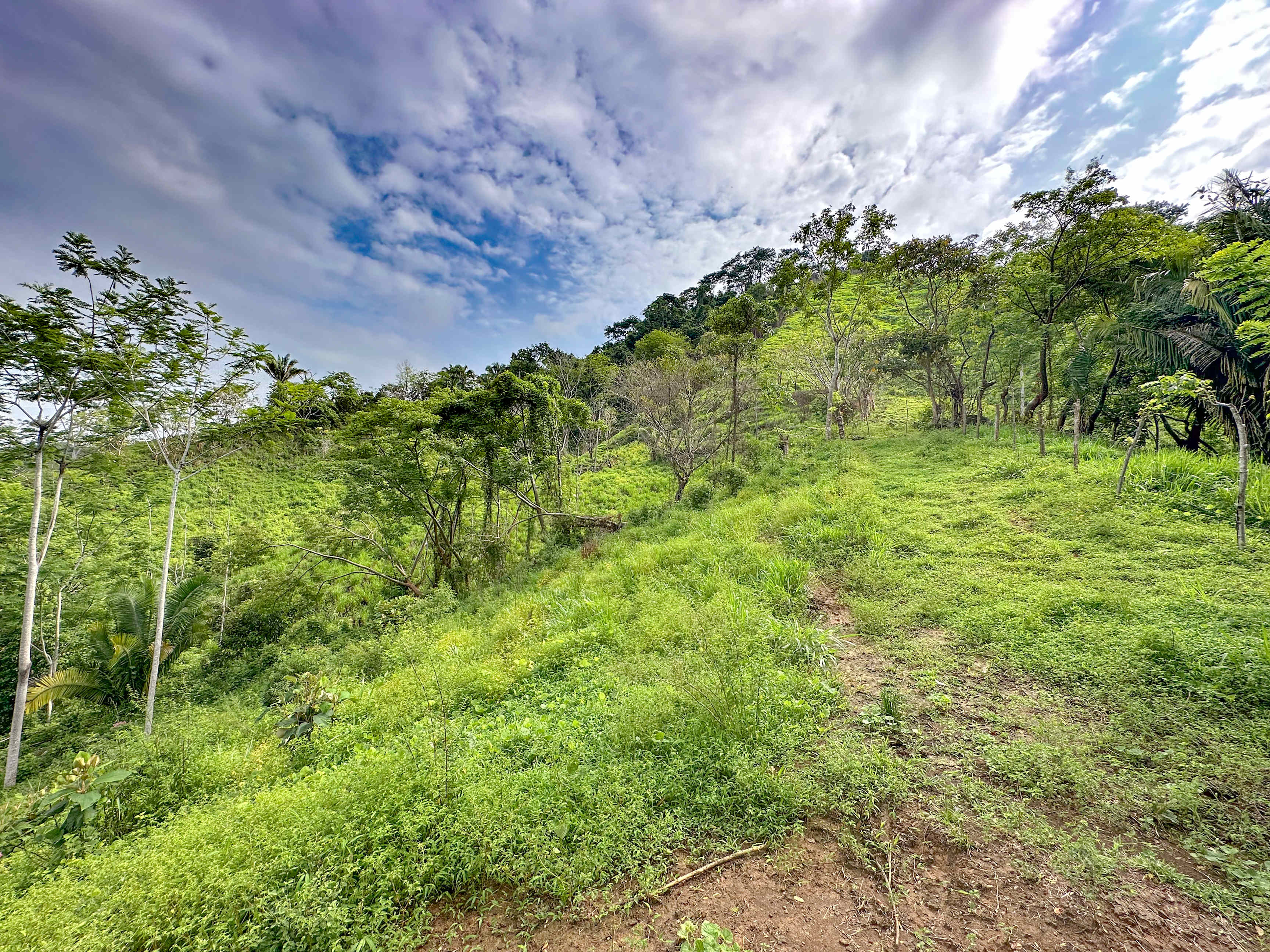 177-Acre Development Land Near Ojochal property photo 5
