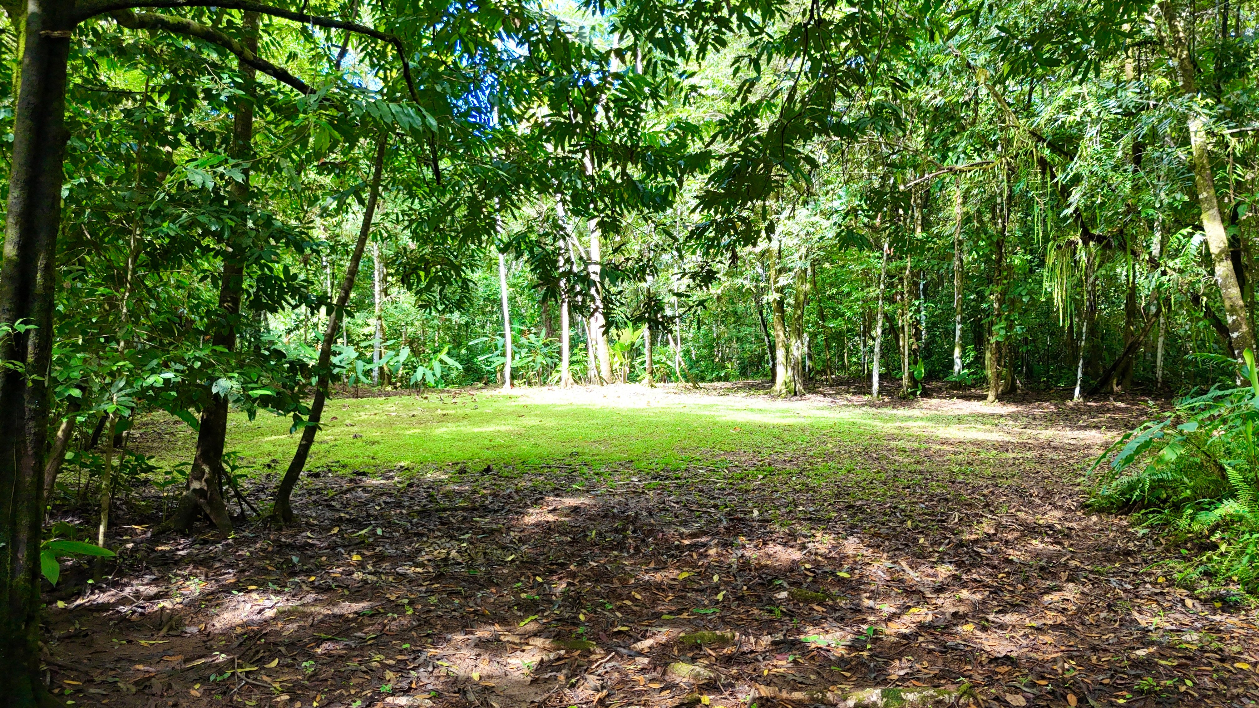 5.9-Acre Jungle Estate in San Josecito, Uvita property photo 4