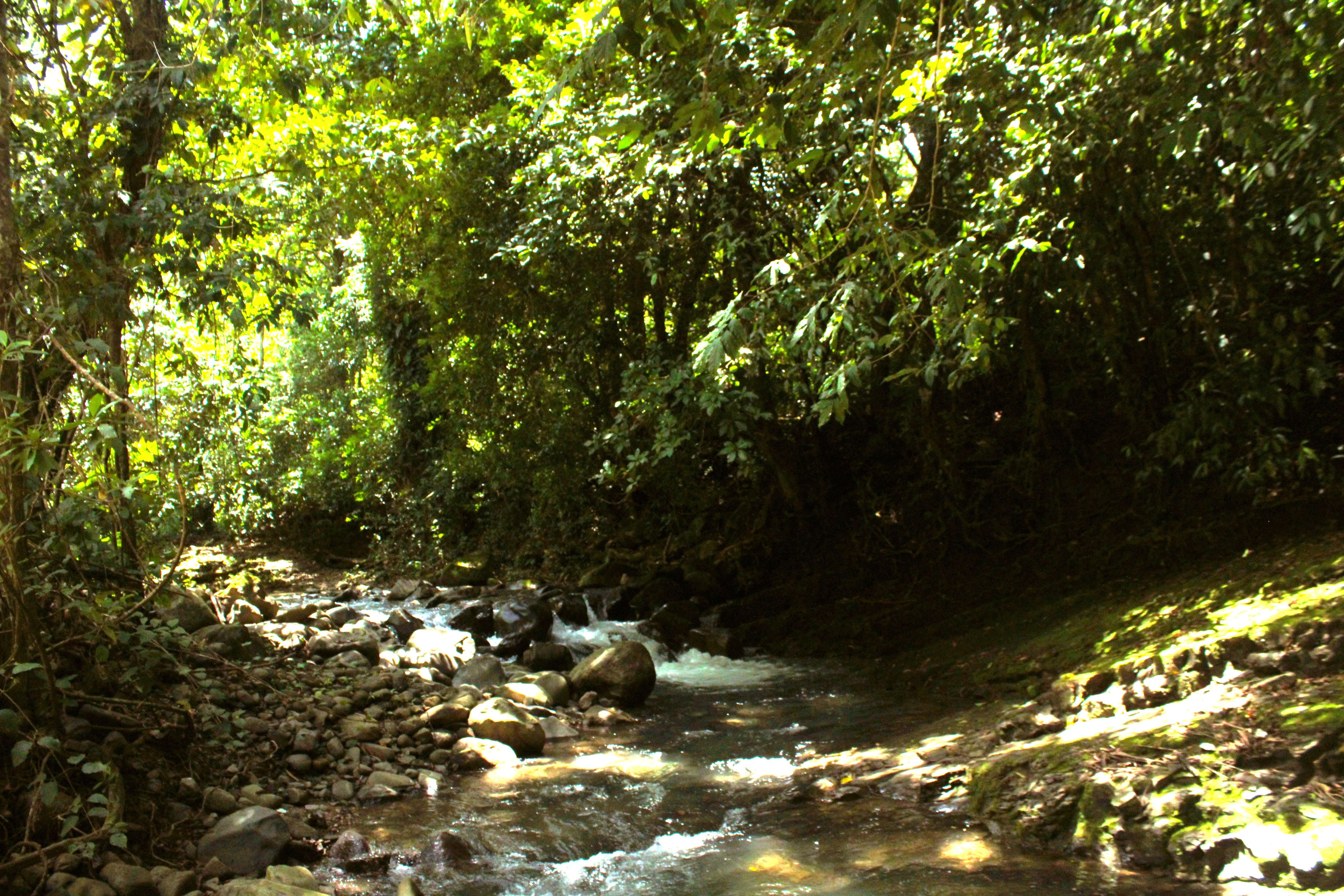 55-Acre Farm in Chontales, Near Ojochal property photo 3