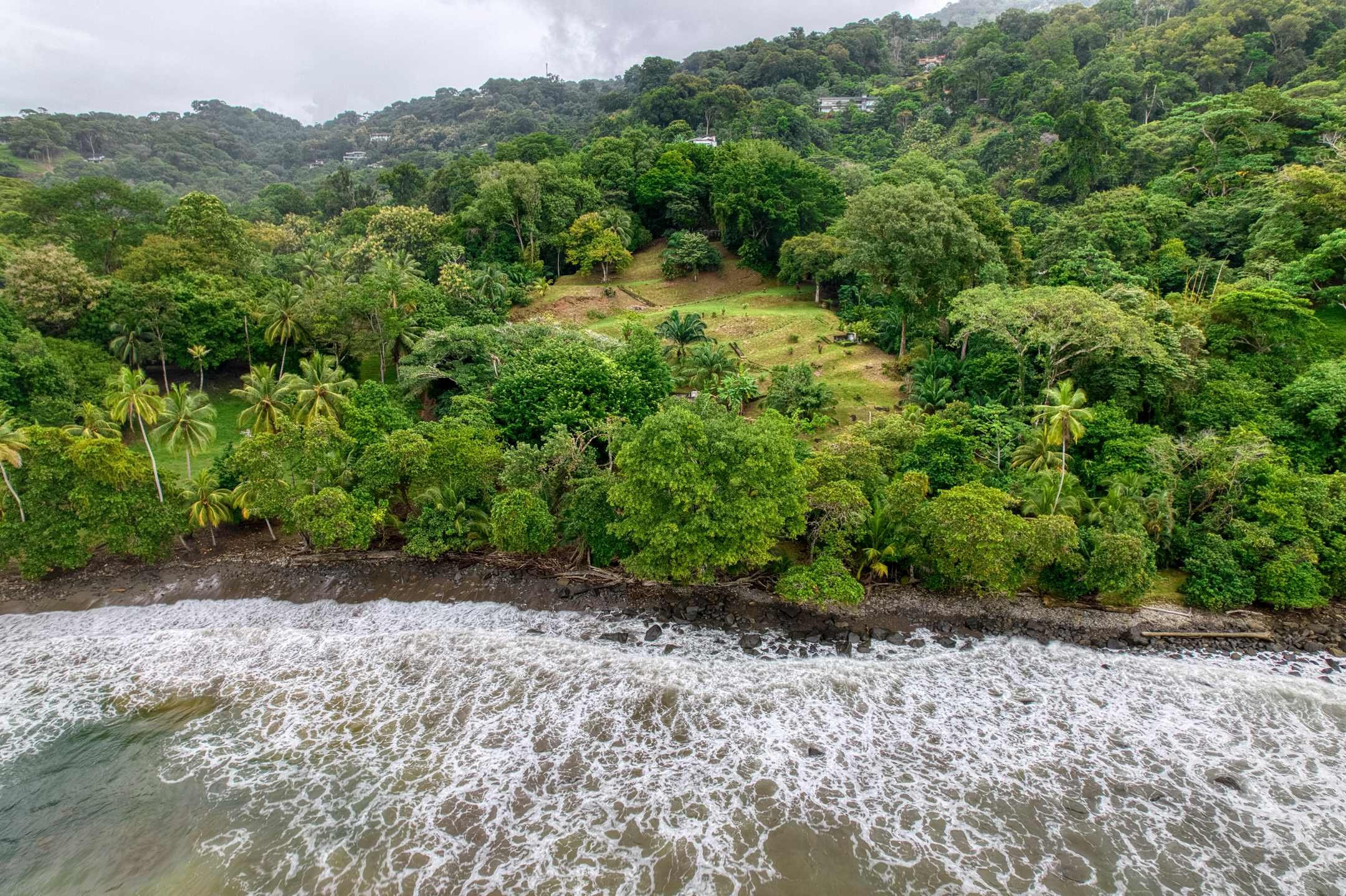 Luxury Beachfront Estate (The Residence in San Martin) in Dominical property photo 3