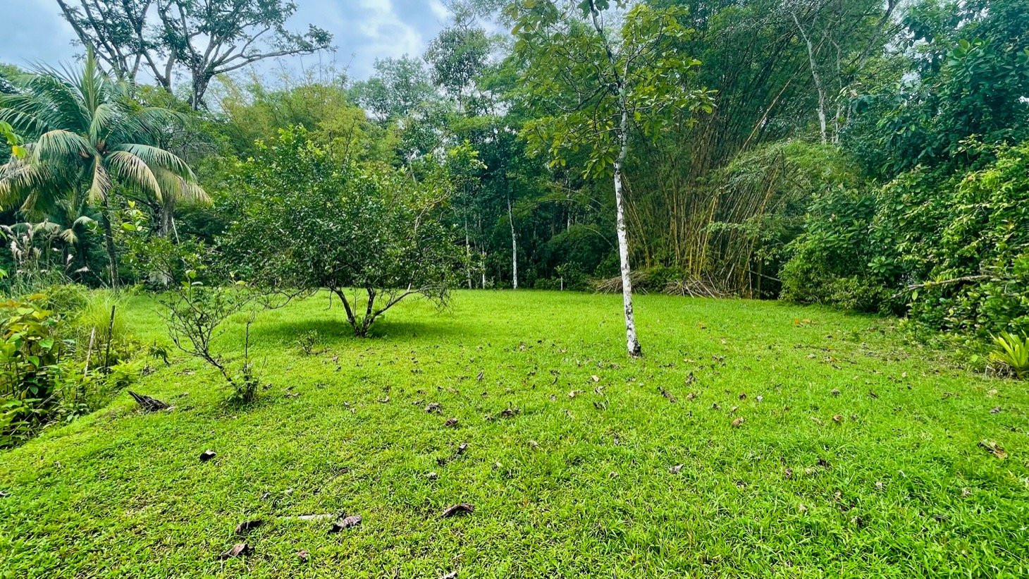 Income Property on Large Acreage in Central Ojochal in Ojochal, Costa Rica