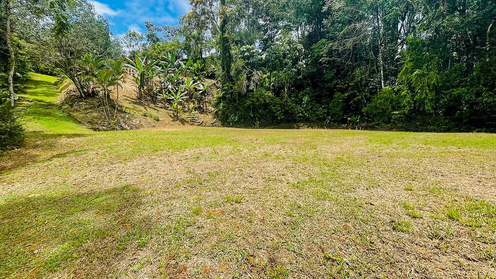 Thumbnail: Build-Ready 2.5-Acre Land Near Dominical | Legal Water