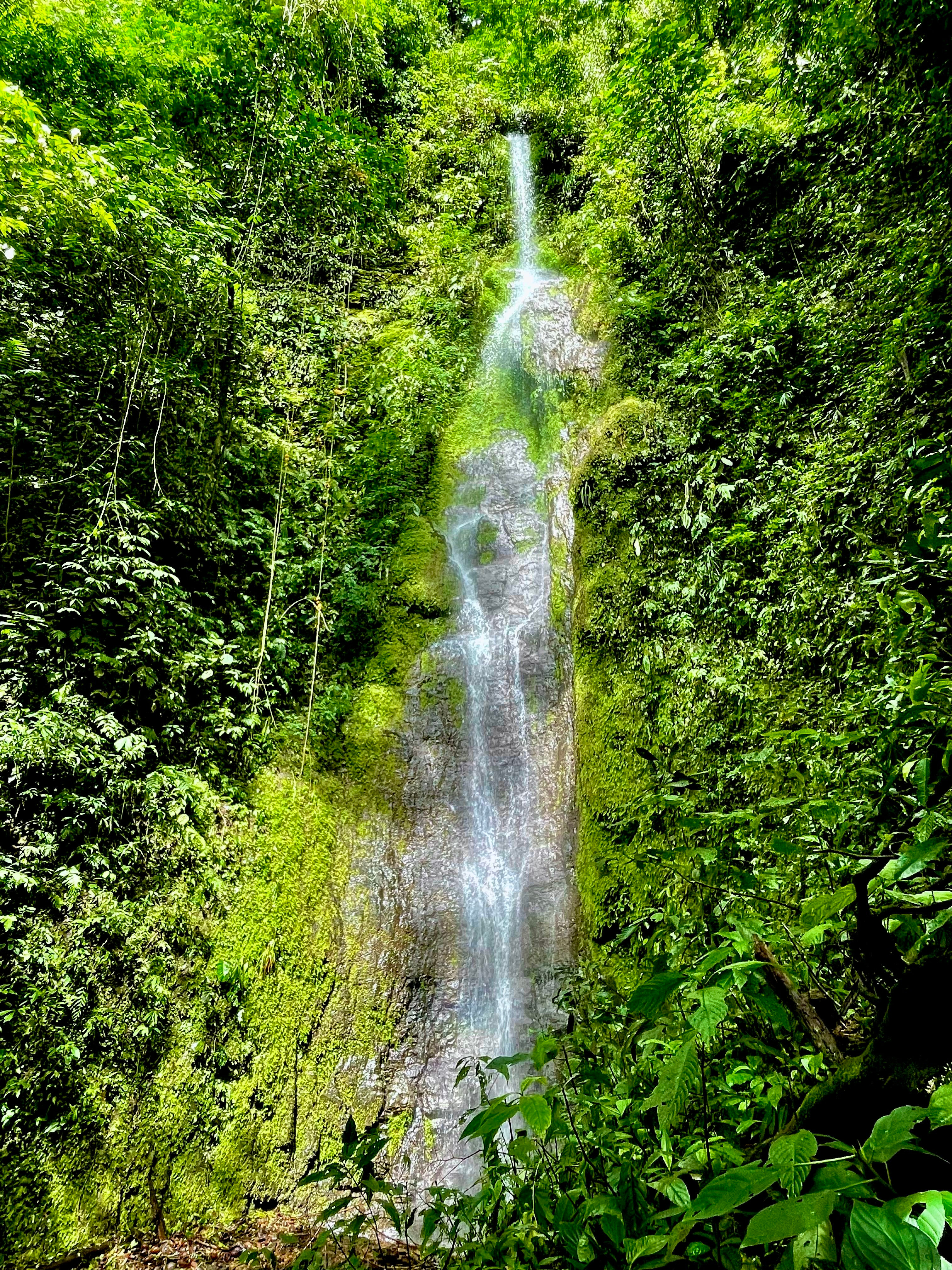 Land Bordering a Wildlife Reserve in Tres Ríos property photo 14