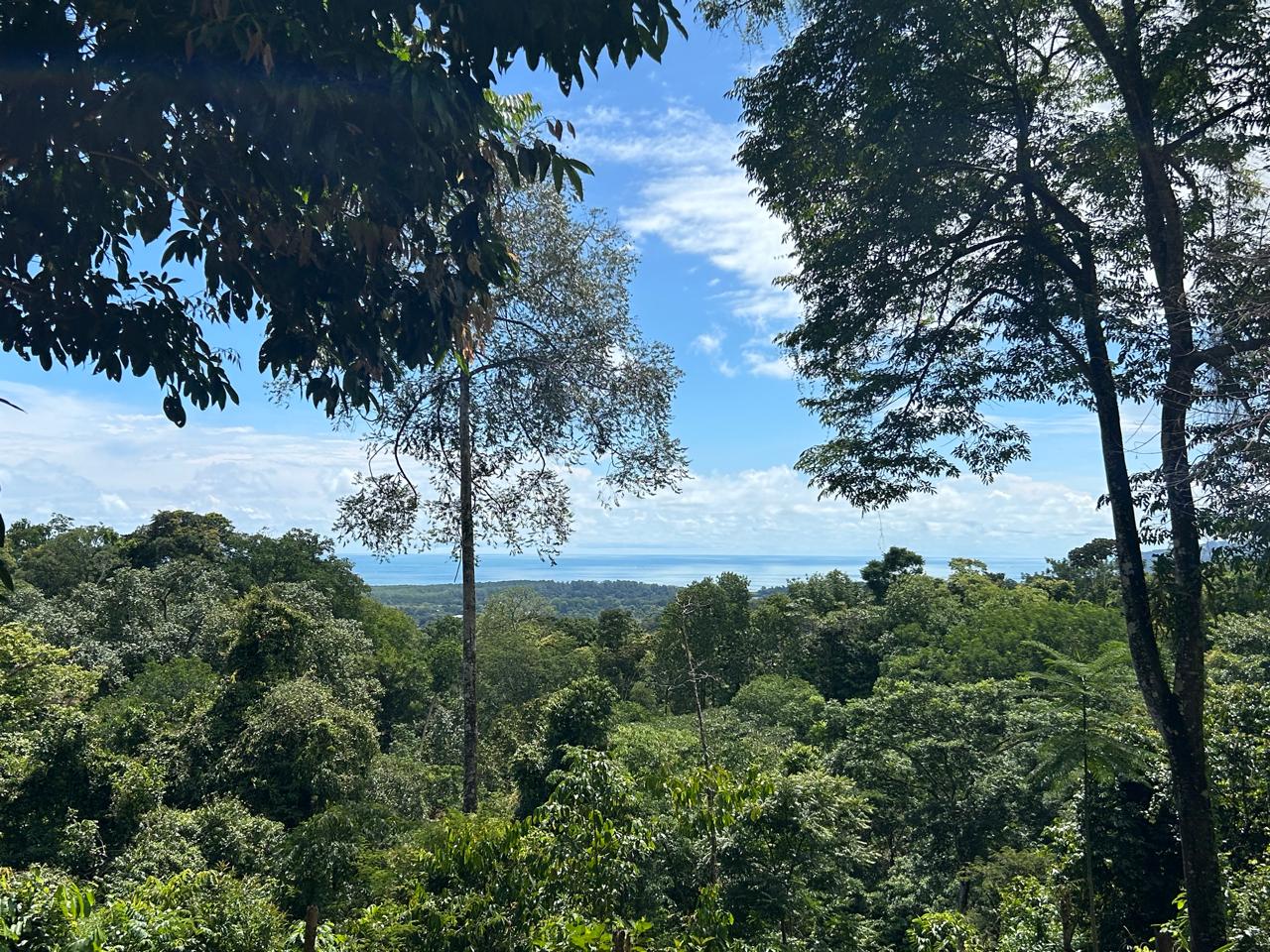 5-Acre Ocean View Land in Uvita property photo 2
