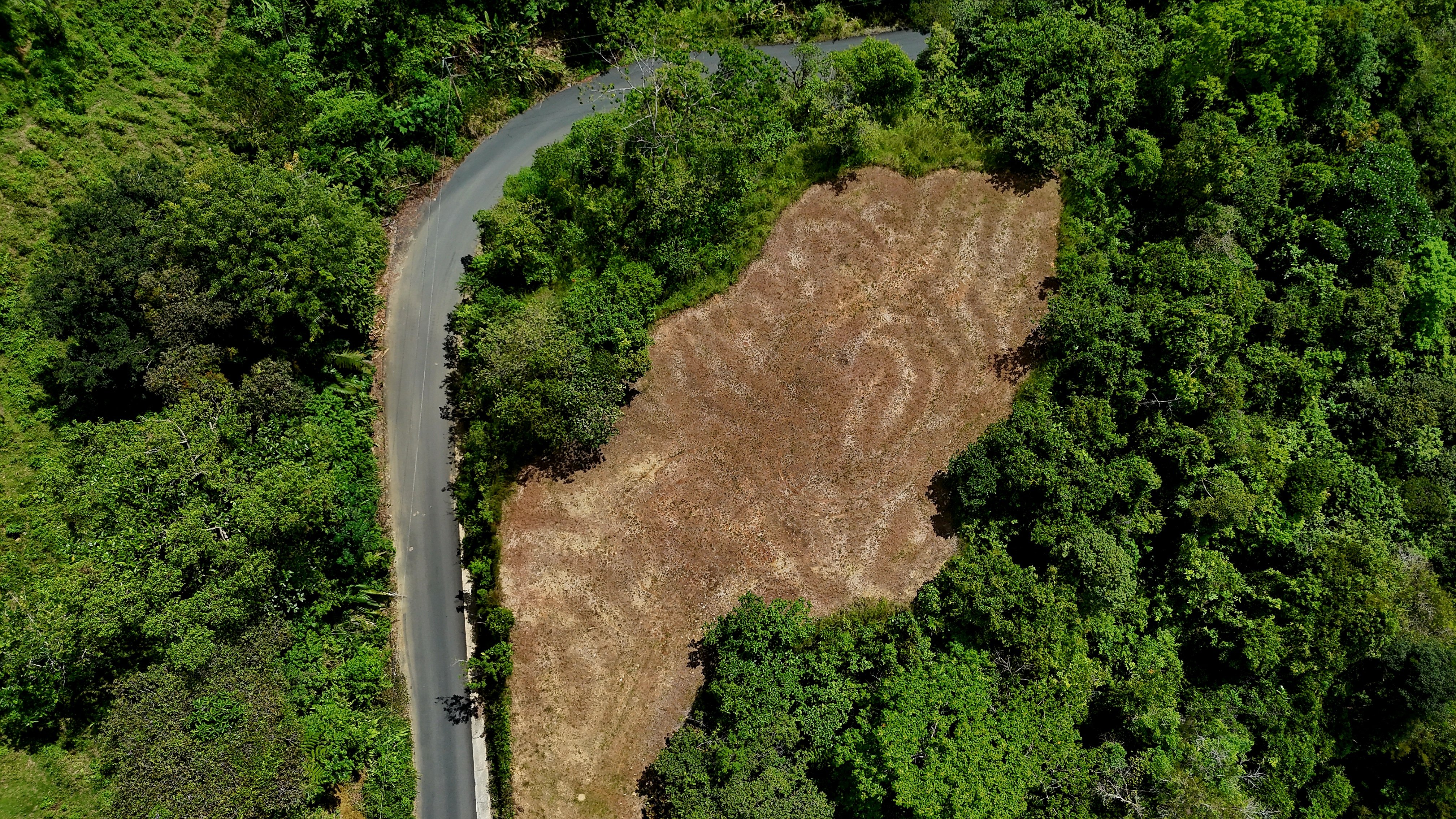 Ocean View Land in Chontales, Osa (Two Adjacent Lots) property photo 2