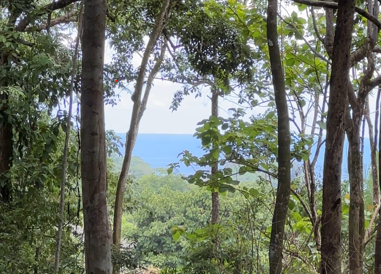 8.8-Acre Development Land Near Dominicalito Bay property photo 3