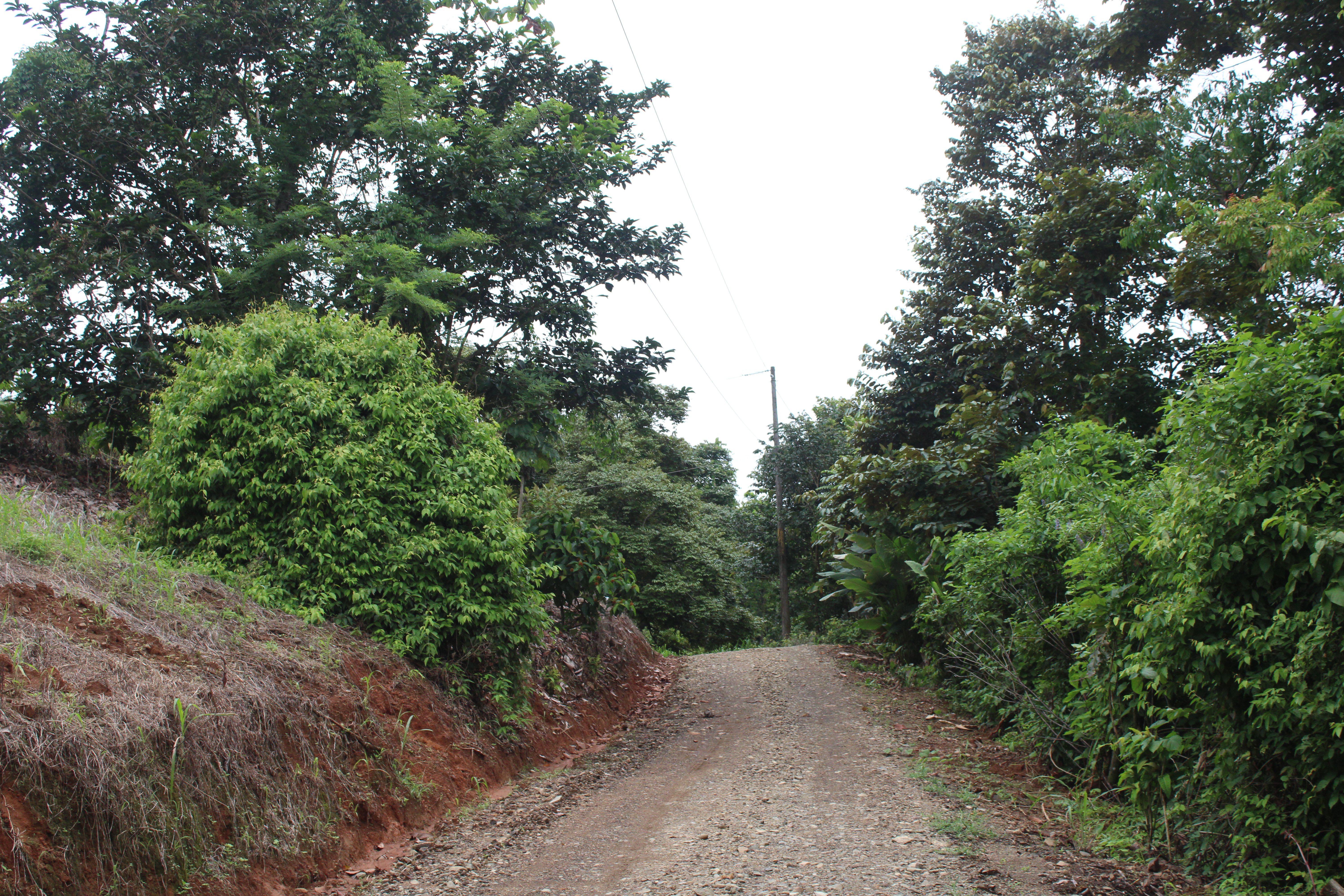 Private Building Lot in Hatillo, Near Dominical property photo 3