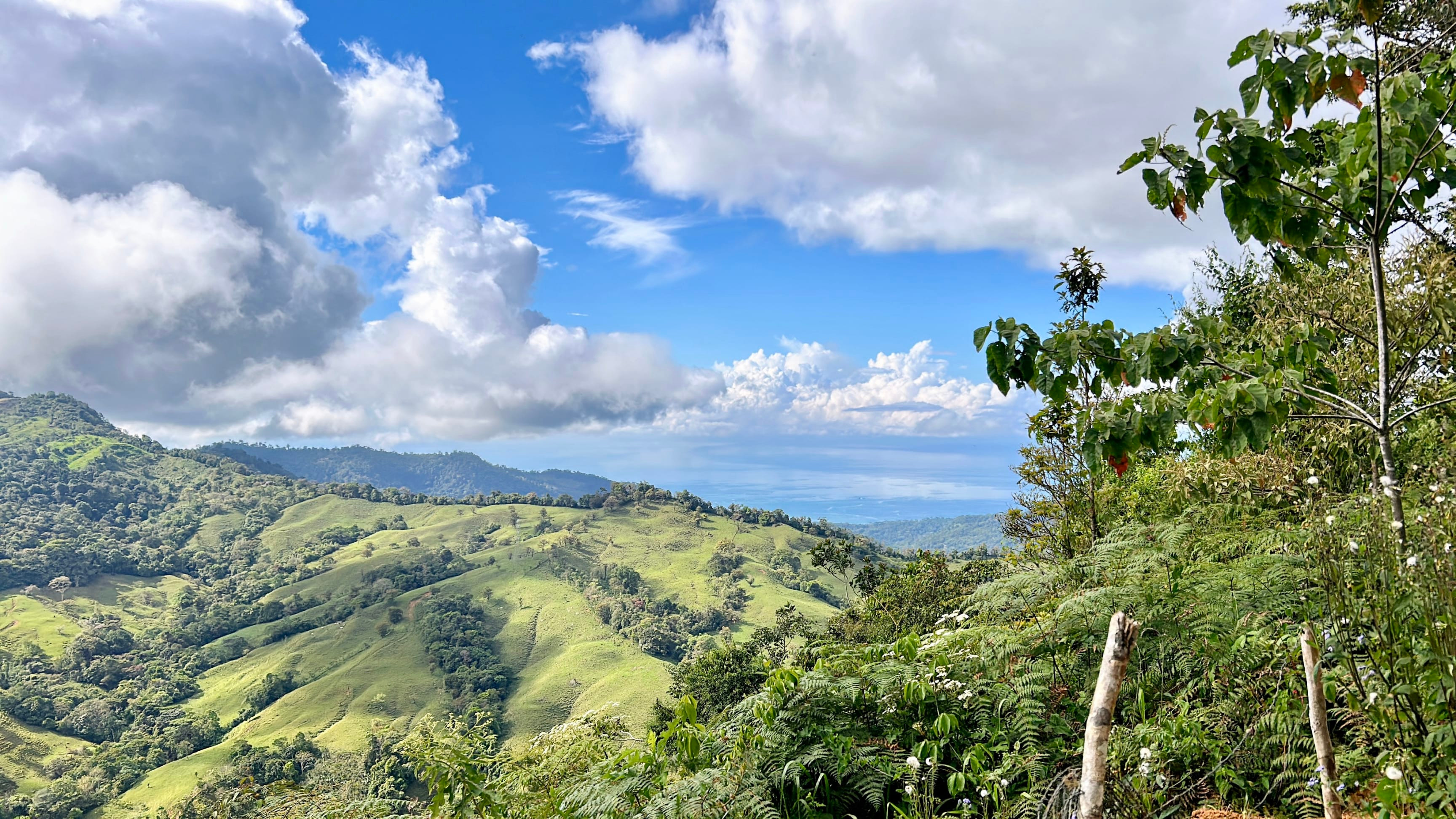 49-Acre Mountain Farm in San Luis, Uvita in San Isidro, Costa Rica