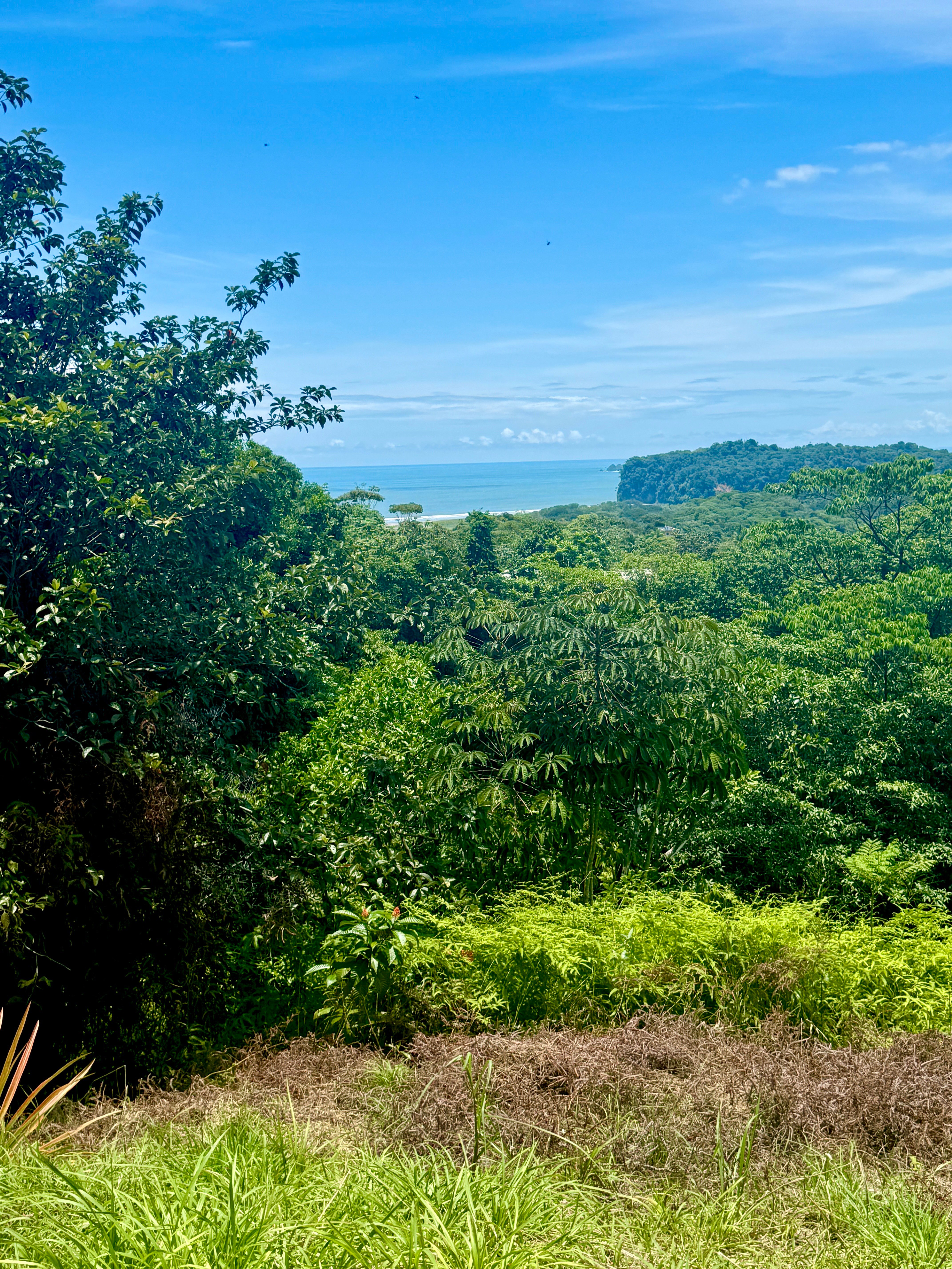 Development Lot on Calle Perezoso, Ojochal property photo 5