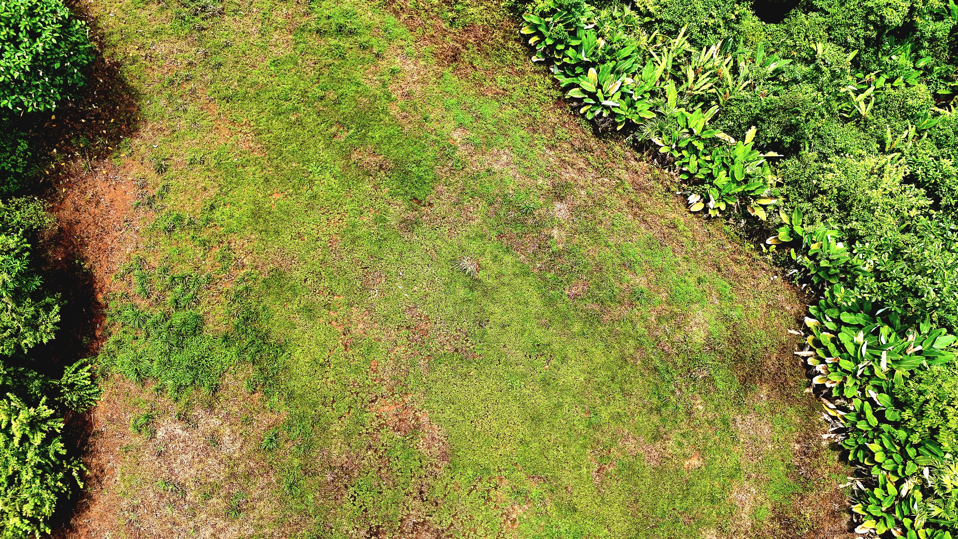 Residential Lots in Costa Azul, Tres Rios de Osa property photo 4