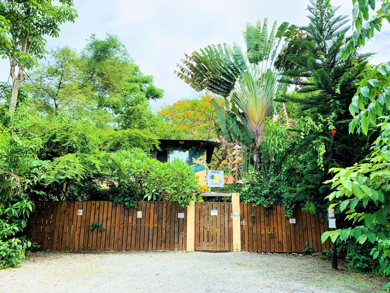 Beachfront 14-Room Hotel in Dominical property photo 4