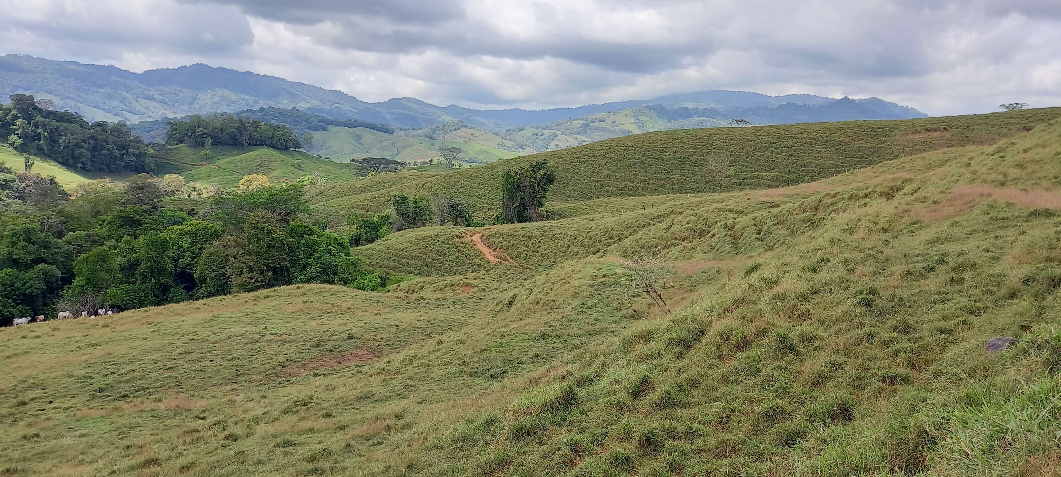 38-Acre Ranch in San Juan de Dios property photo 4