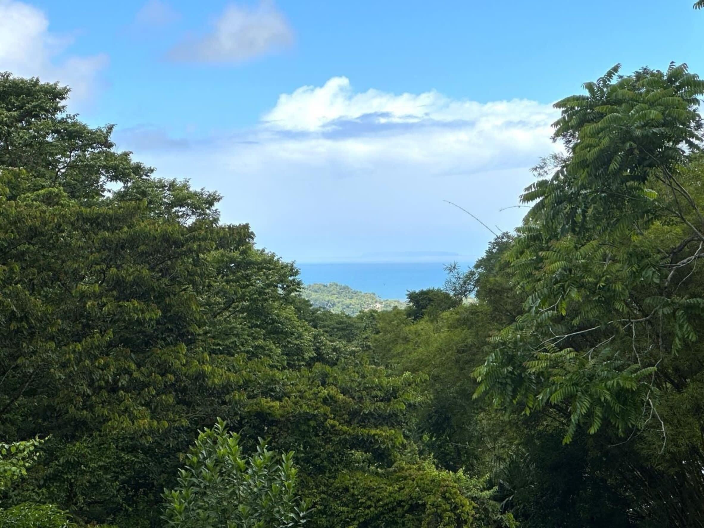 Ocean View Home (Casa Mariposa) in Ojochal property photo 3