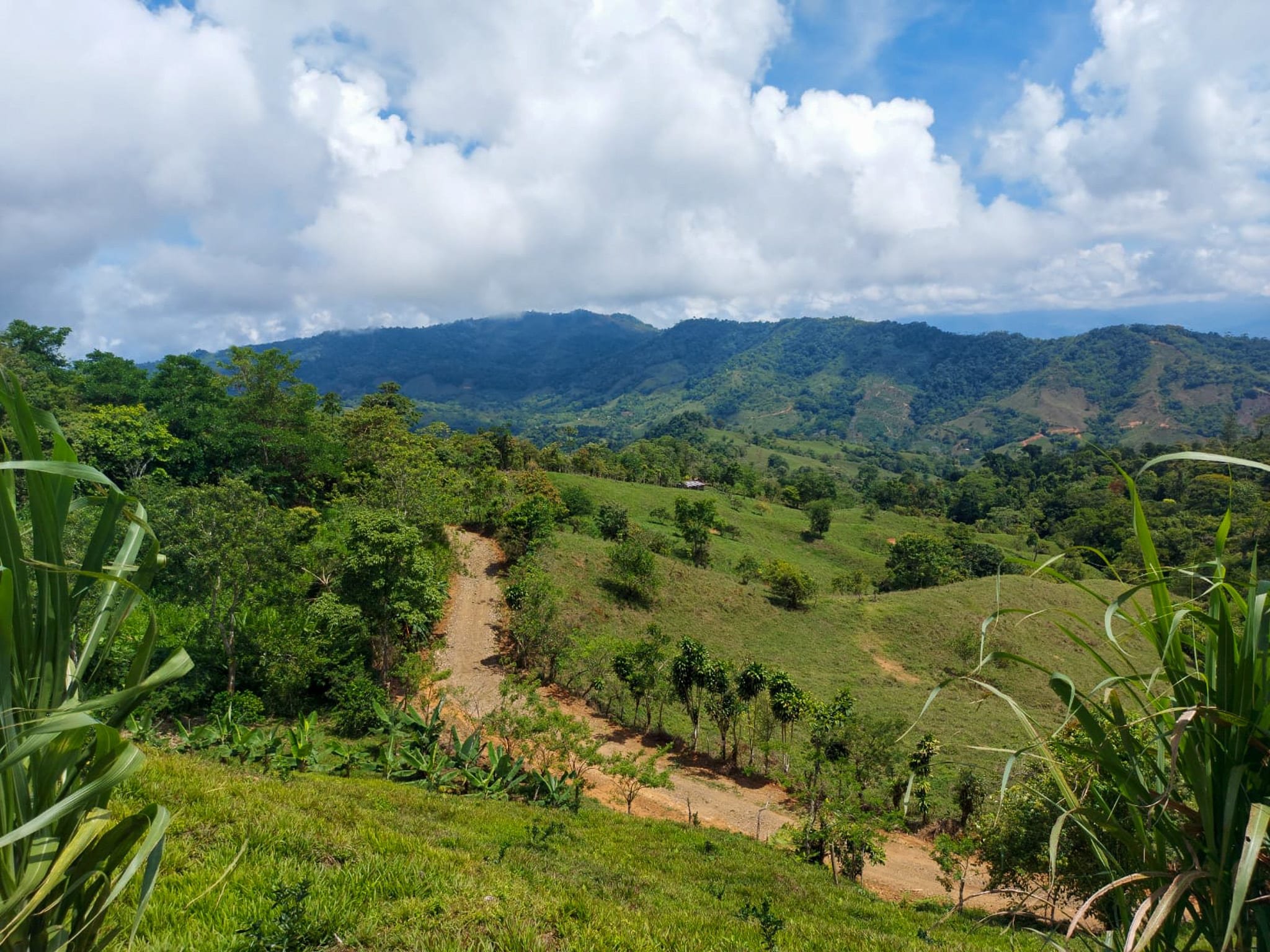 3.36-Acre Ocean View Lot in Aguas Buenas, Uvita in Uvita, Costa Rica