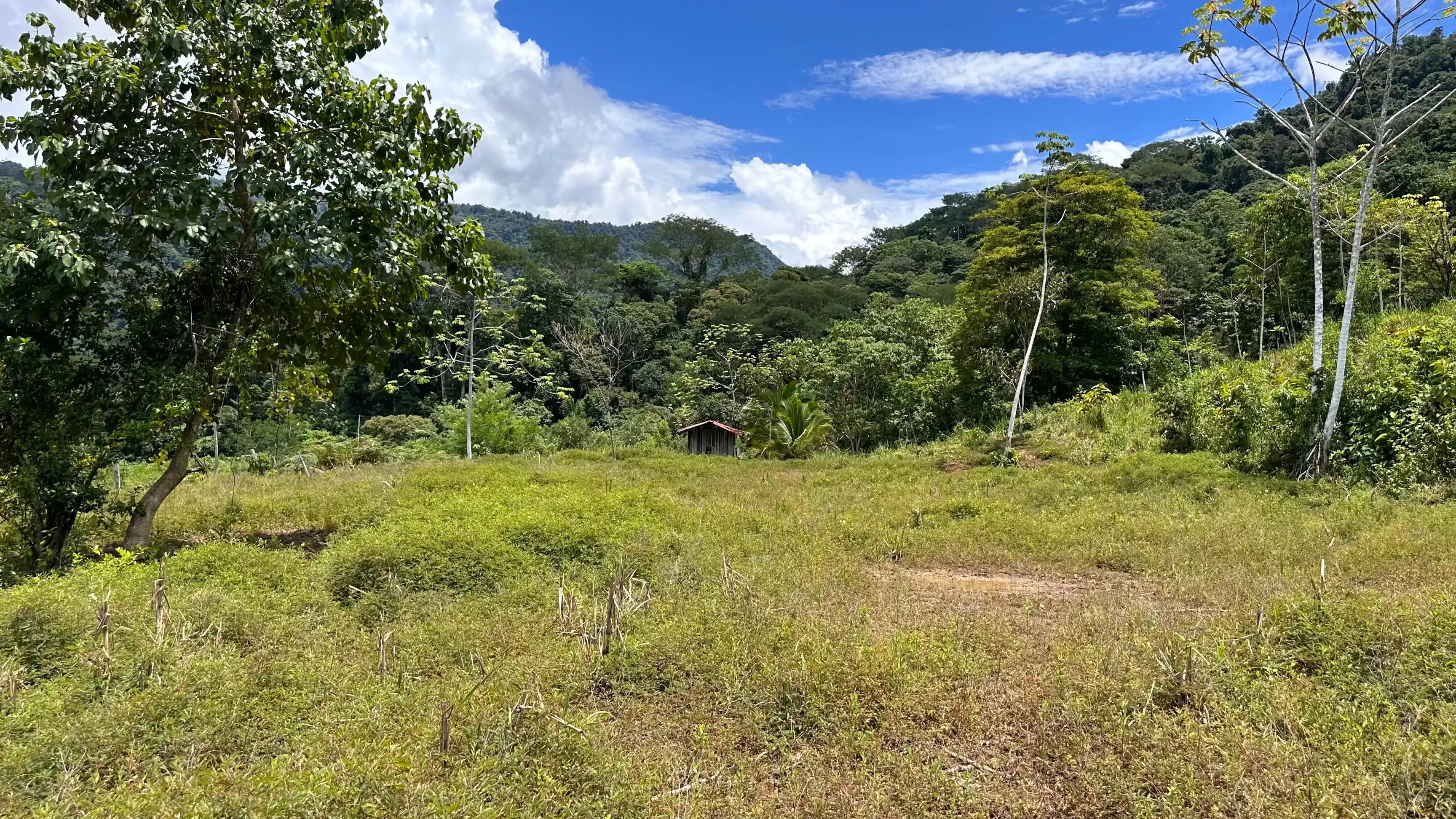 4-Acre Farm with Waterfall in San Josecito, Uvita property photo 4