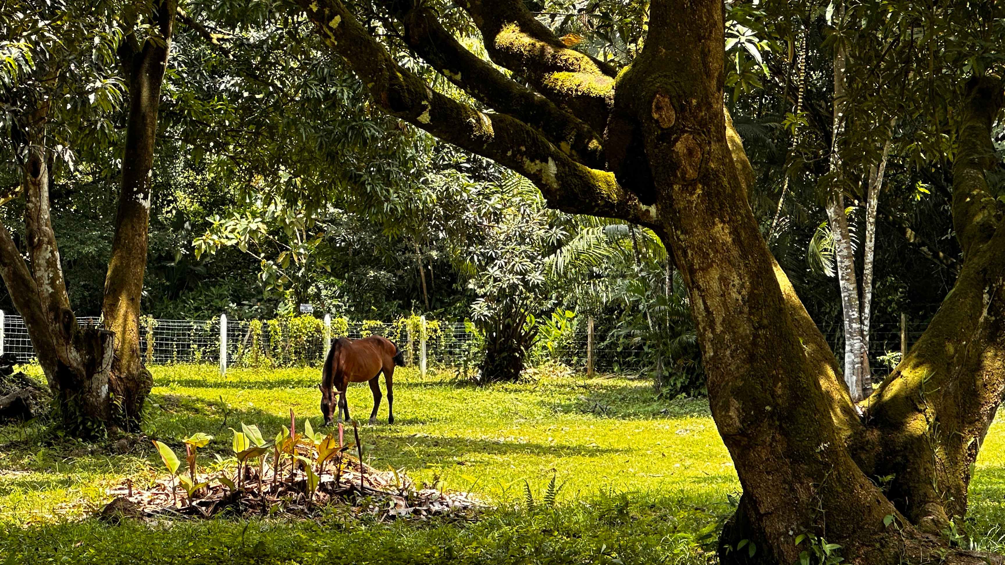 2.5-Acre Development Land in Bahia, Uvita property photo 3