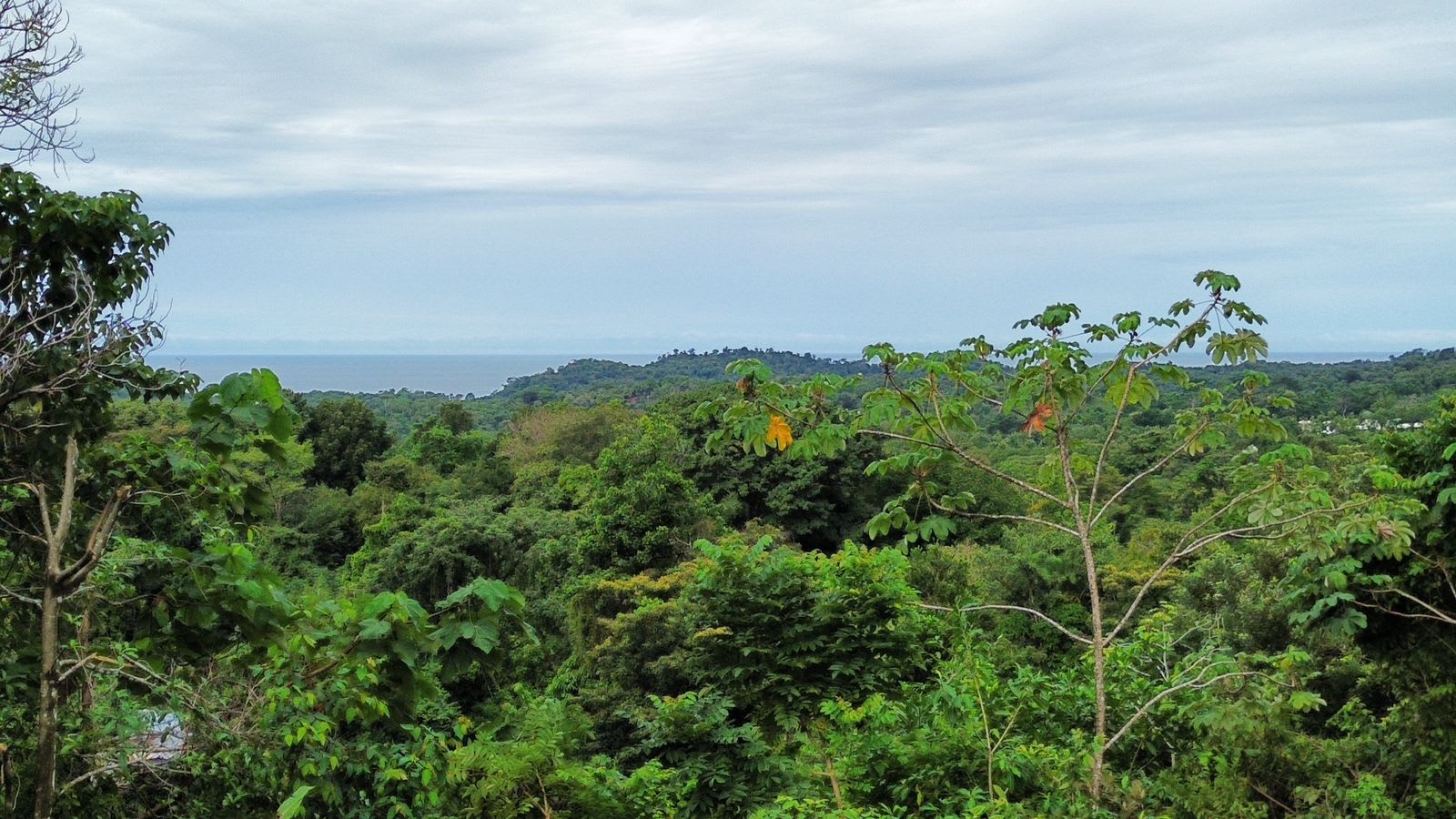 1.74-Acre Ocean View Lot in Ojochal property photo 4