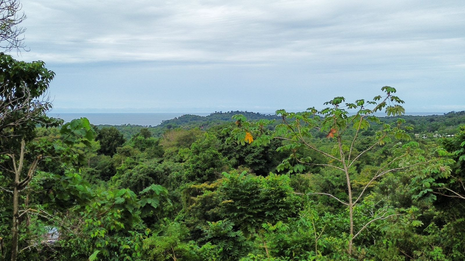 1.74-Acre Ocean View Lot with Two Building Sites, Ojochal property photo 4