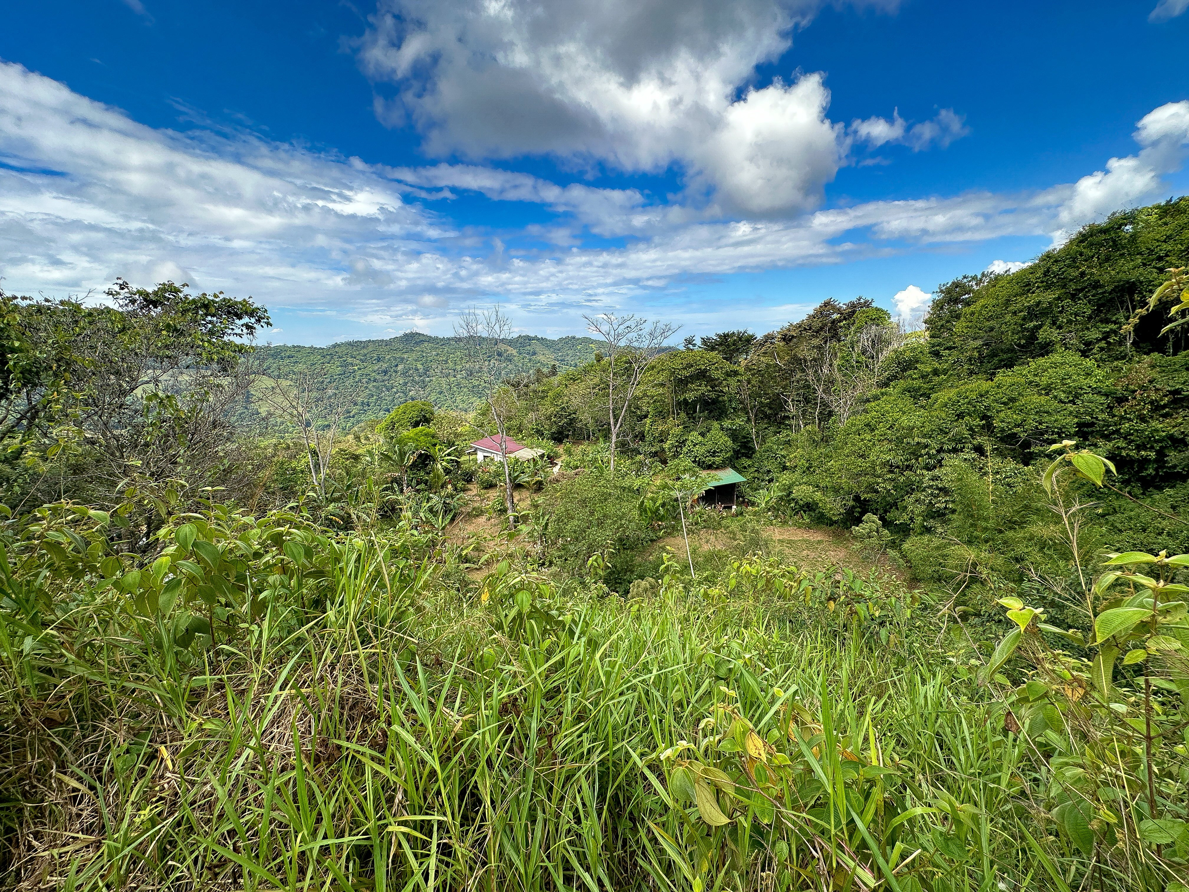 Wellness Property in Tinamastes in Dominical, Costa Rica
