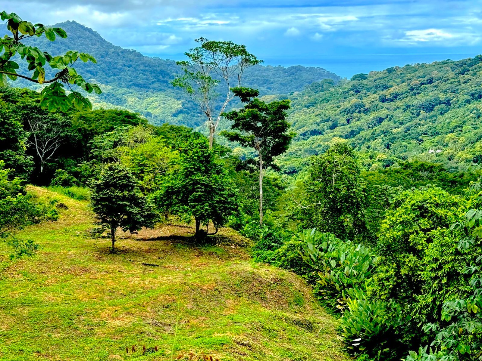 4.76-Acre Ocean View Land in Lagunas, Near Dominical property photo 2
