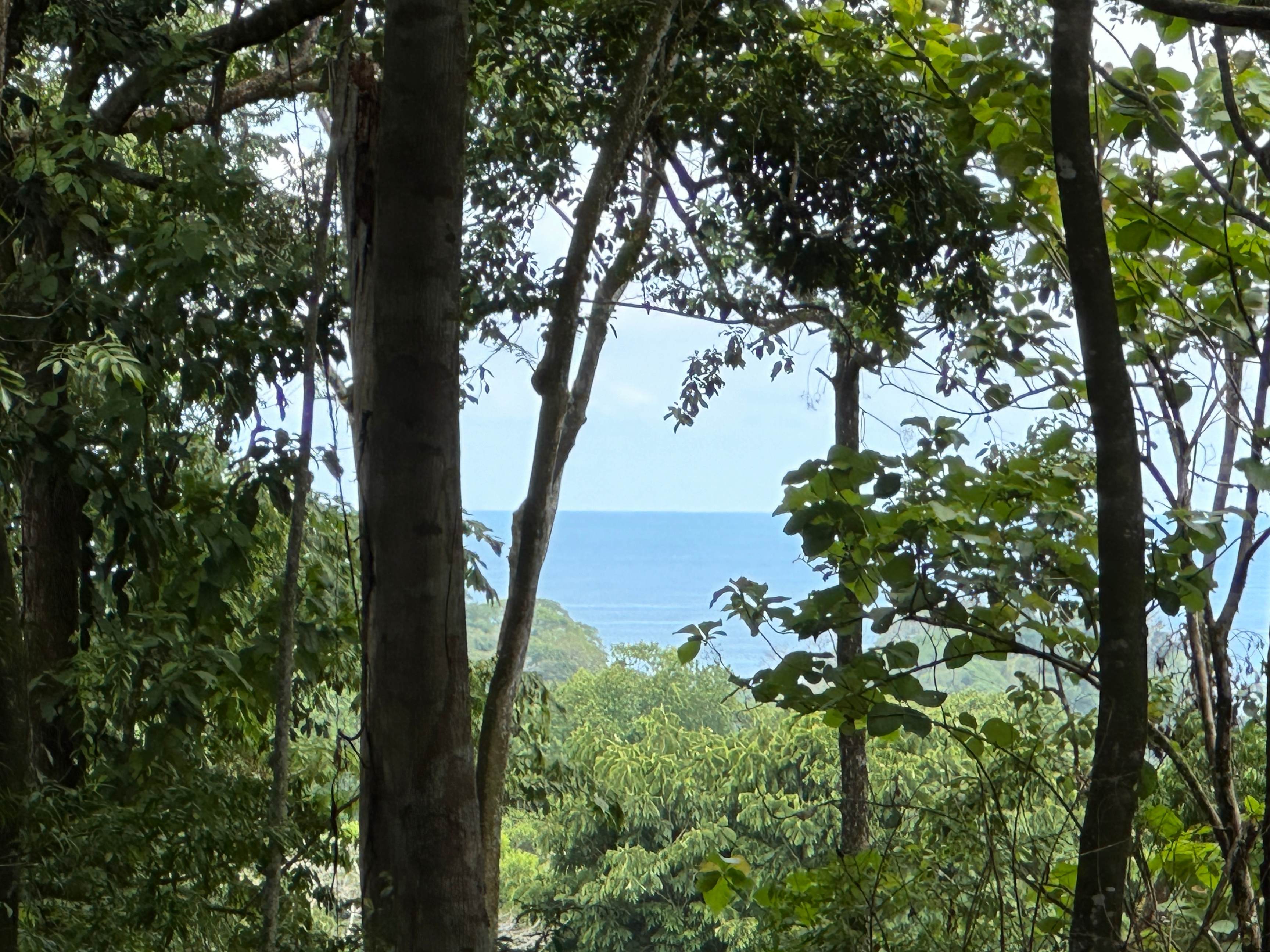 8.8-Acre Development Land Near Dominicalito Bay property photo 2