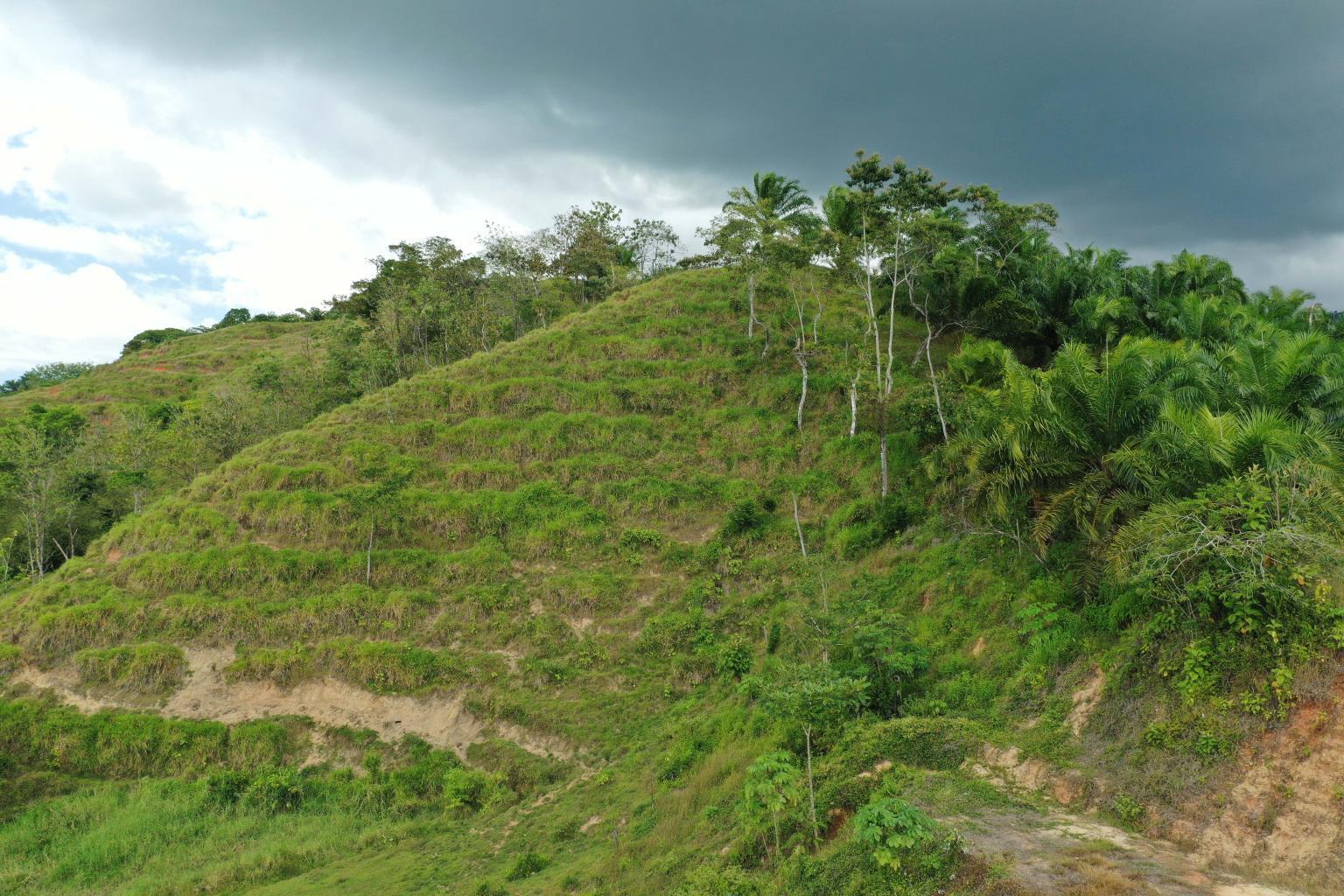 286-Acre Development Land Near Quepos property photo 4