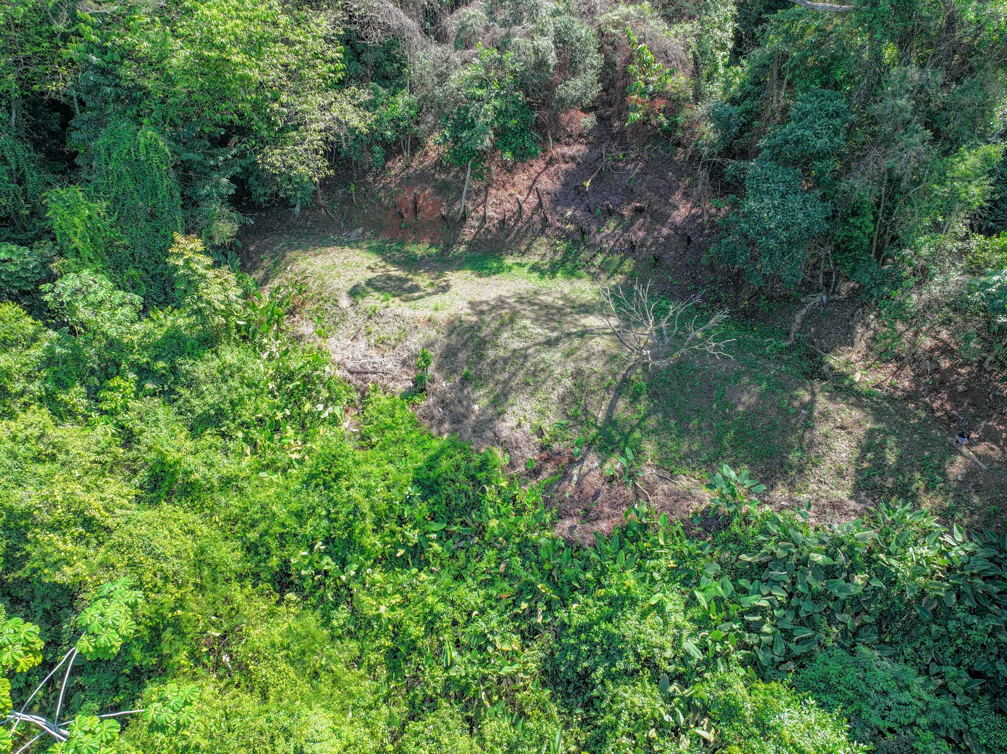 Buildable Jungle Lot Near Dominical property photo 3