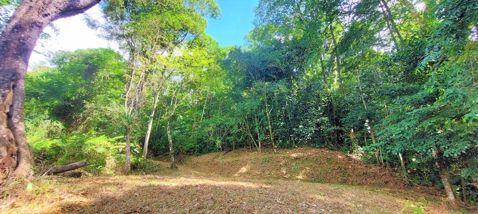 5.65-Acre Lot in Portasol, Portalon property photo 2